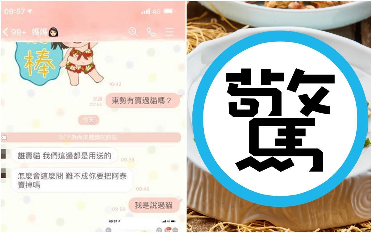 網友很懷念野菜過貓的滋味,透過LINE詢問母親「東勢有賣過貓嗎?」卻被母親誤會了。(翻攝自貓咪也瘋狂俱樂部臉書/東方IC)
