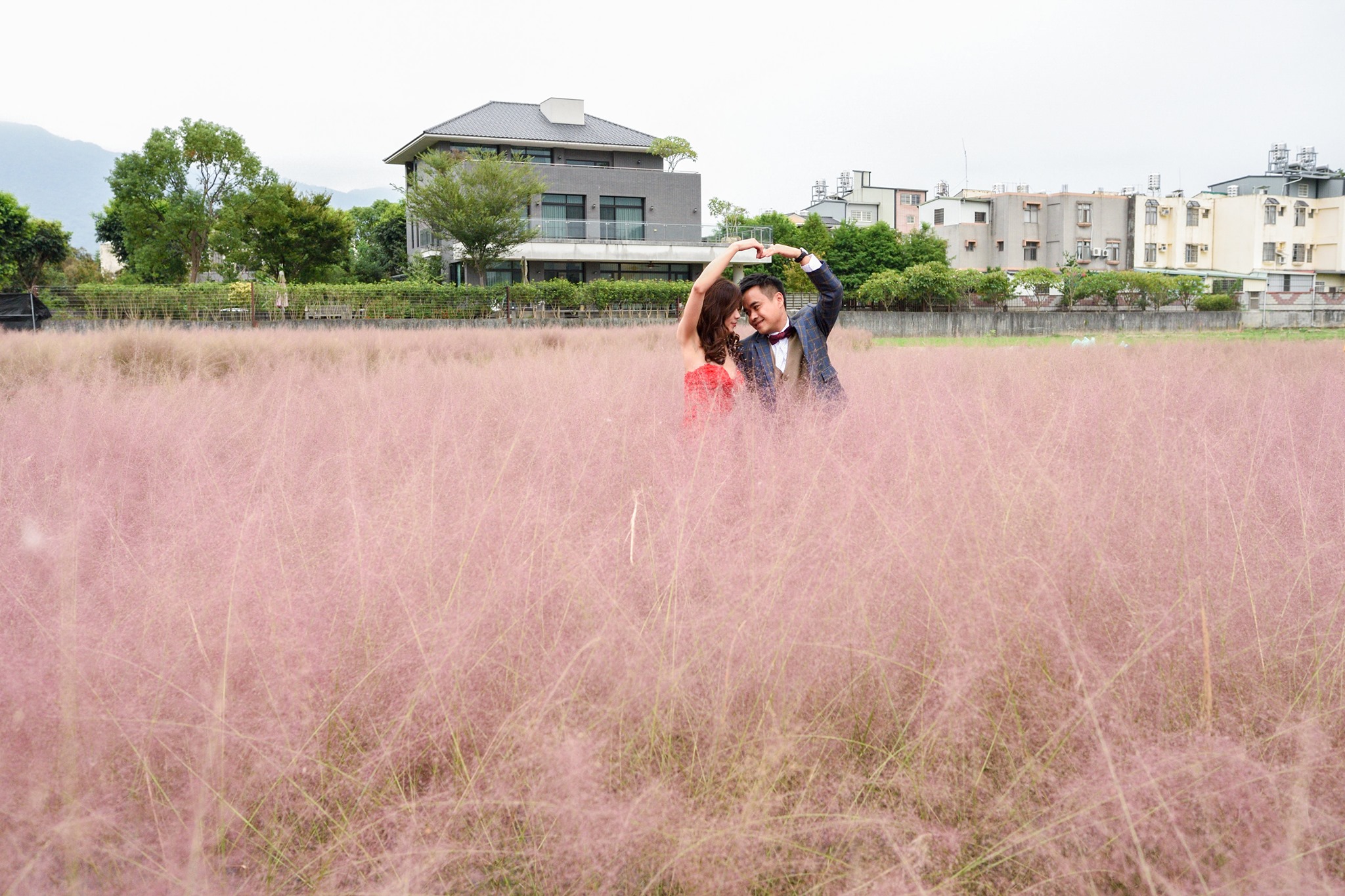 南投集集的「粉黛亂子草」吸引不少民眾參觀拍照，鎮長陳紀衡也在此拍攝婚紗照。（翻攝自陳紀衡臉書）