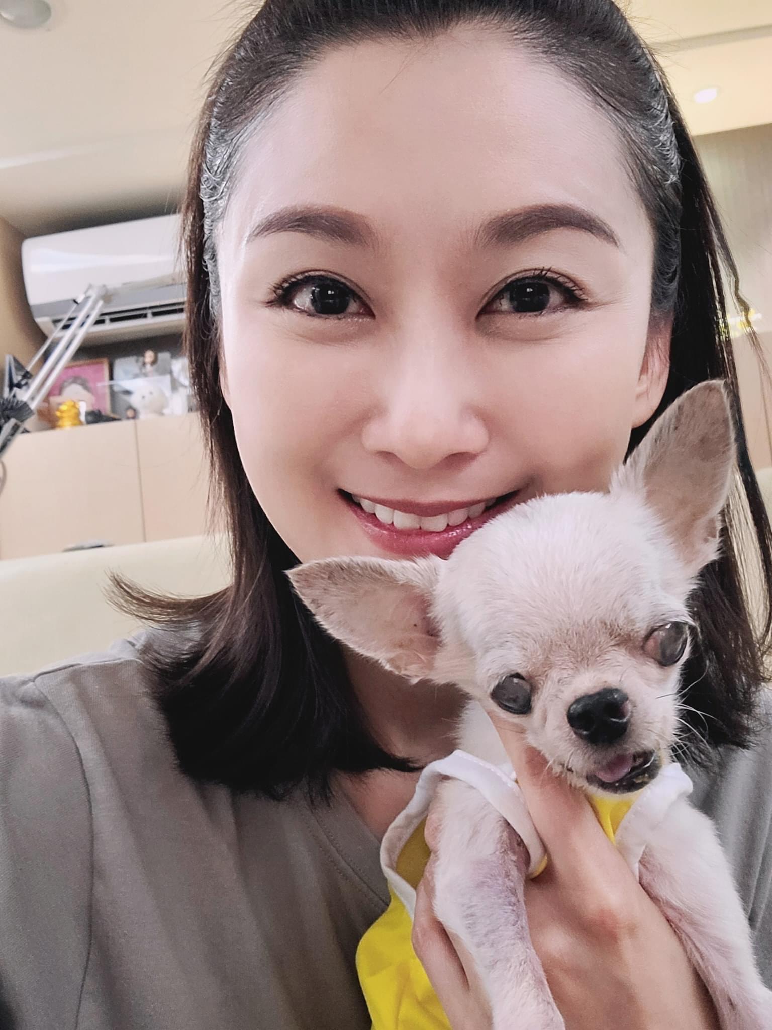 陳珮騏私底下相當關心流浪動物,跟螢幕上壞女人形象差異很大。(翻攝自陳珮騏臉書)