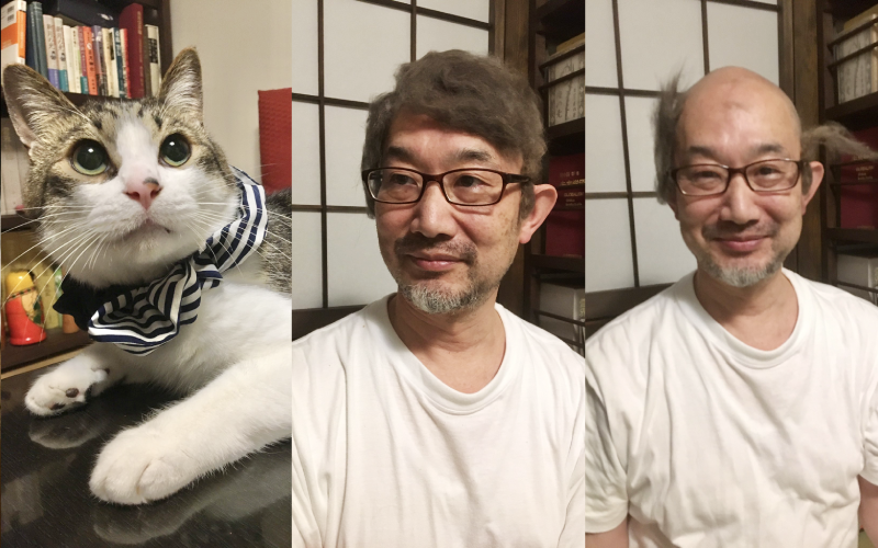 家中養了五隻貓的日本大叔山口隆之,日前突發奇想將貓毛做成假髮,將照片上傳推特,還特別介紹毛髮貨源主要來自家中虎斑貓彥之助。(翻攝推特@FujizoushiBot)