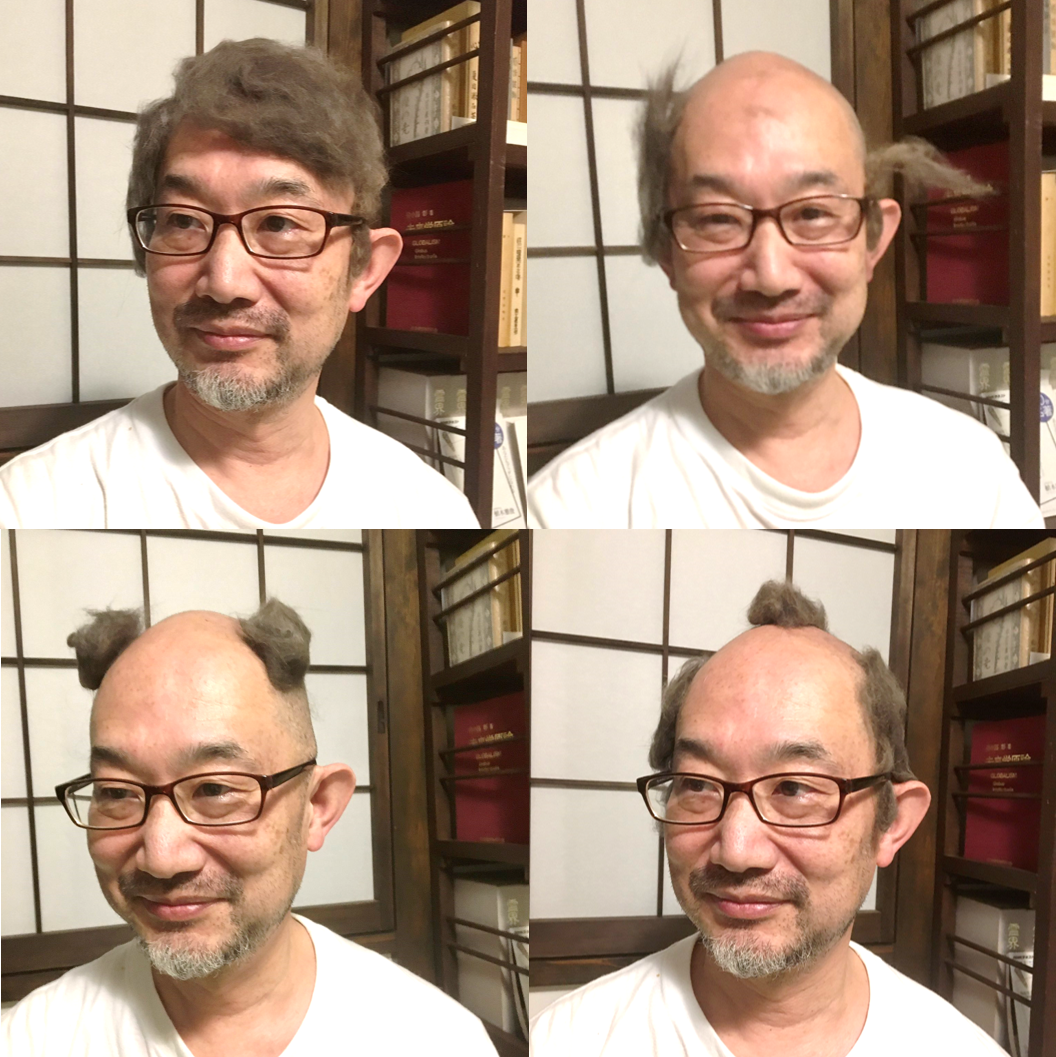 山口隆之還將貓毛假髮做成不同造型,各自設定有主題,左上:浪漫灰髮的帥大叔;右上:被風吹散的博士頭髮;左下:貓咪耳朵;右下:江戶時代的鄉民。(翻攝推特@FujizoushiBot)