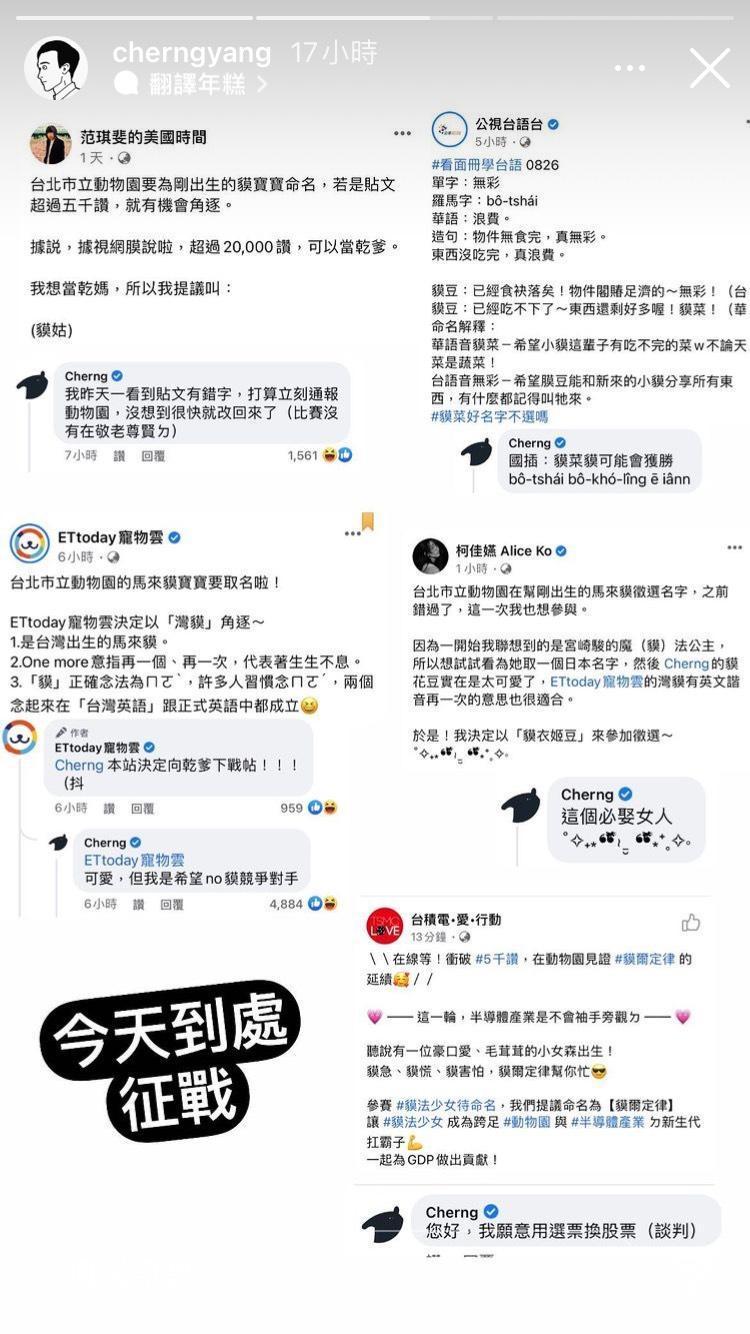 插畫家Cherng為了讓自己提議的名字雀屏中選,到處到其他名人的提議貼文下留言「嗆聲」。(翻攝自Cherng IG)