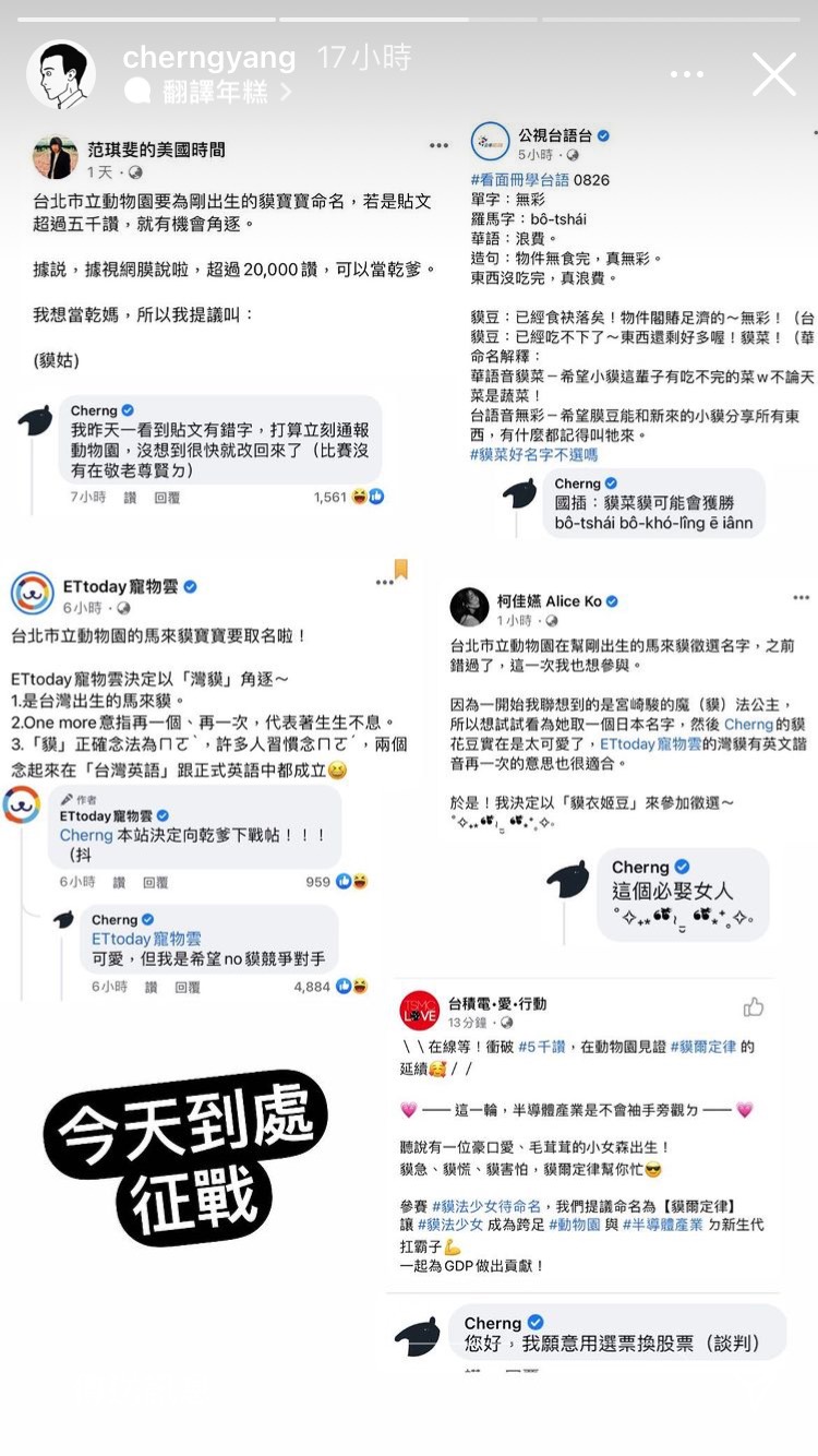 插畫家Cherng為了讓自己提議的名字雀屏中選，到處到其他名人的提議貼文下留言「嗆聲」。（翻攝自Cherng IG）