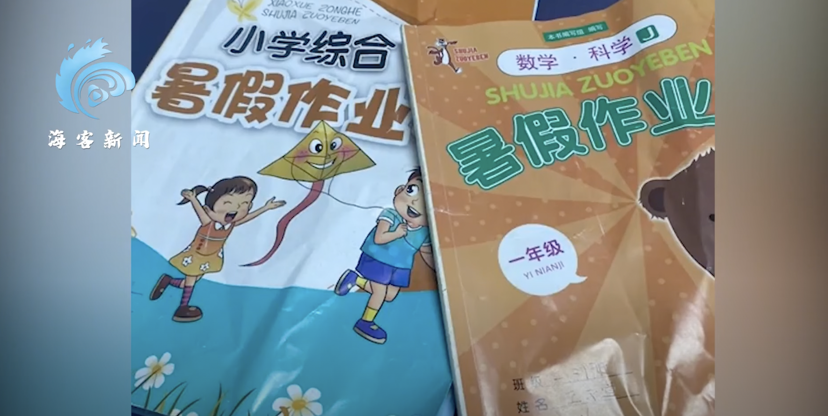 女童打算將不想寫的數學、科學等暑假作業捐出。（翻攝自海客新聞YouTube頻道）