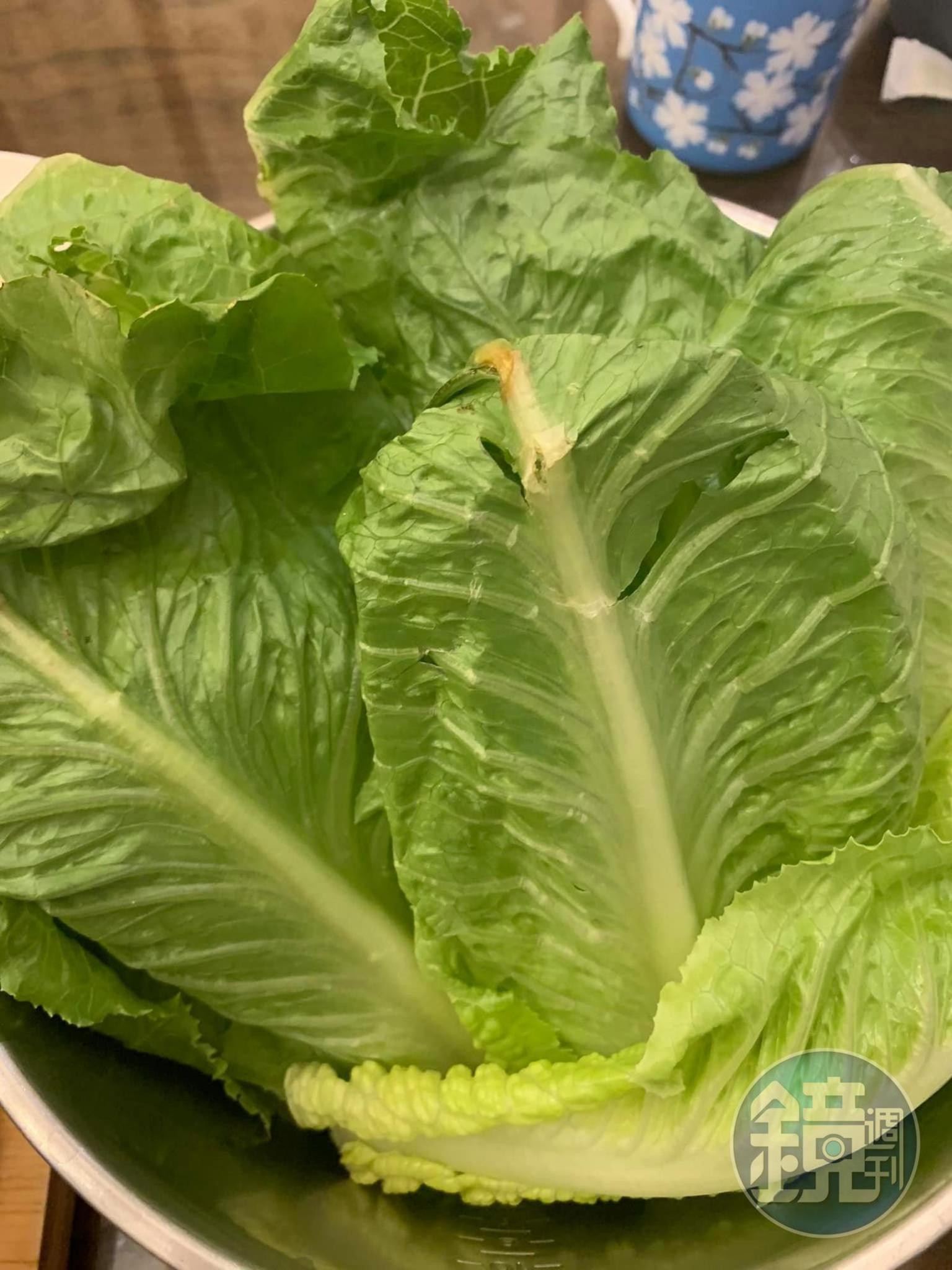 用蘿蔓包著吃。