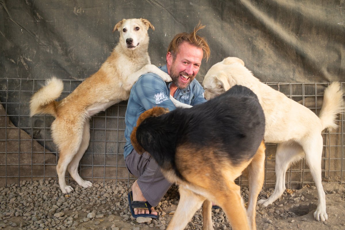 法辛在阿富汗淪陷之際發起「方舟計劃」，引發兩極爭議。（翻攝bvanhoovan推特）