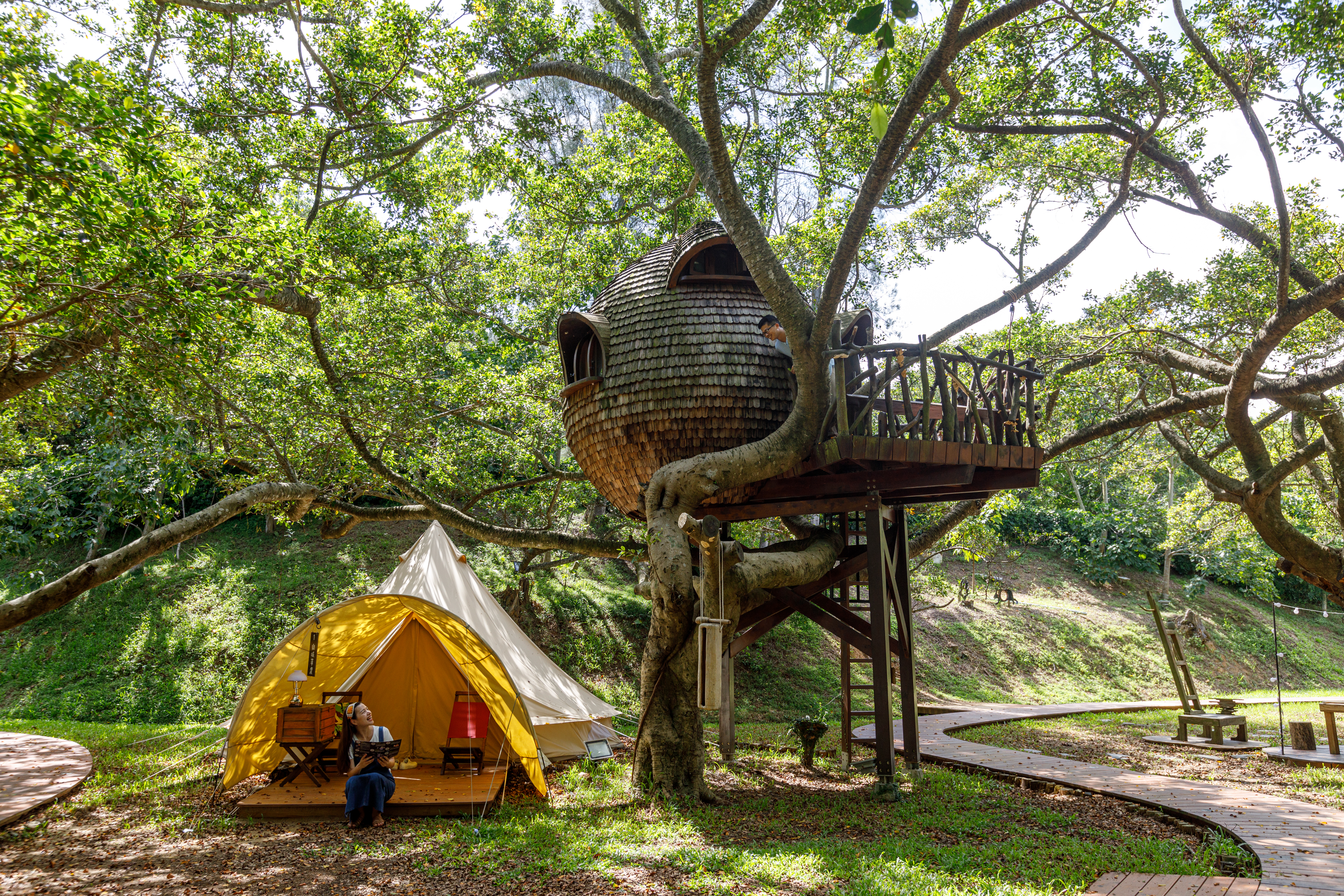 「好夢里」有森林、樹屋與精靈帳，還有想暫時逃離現實的旅人。