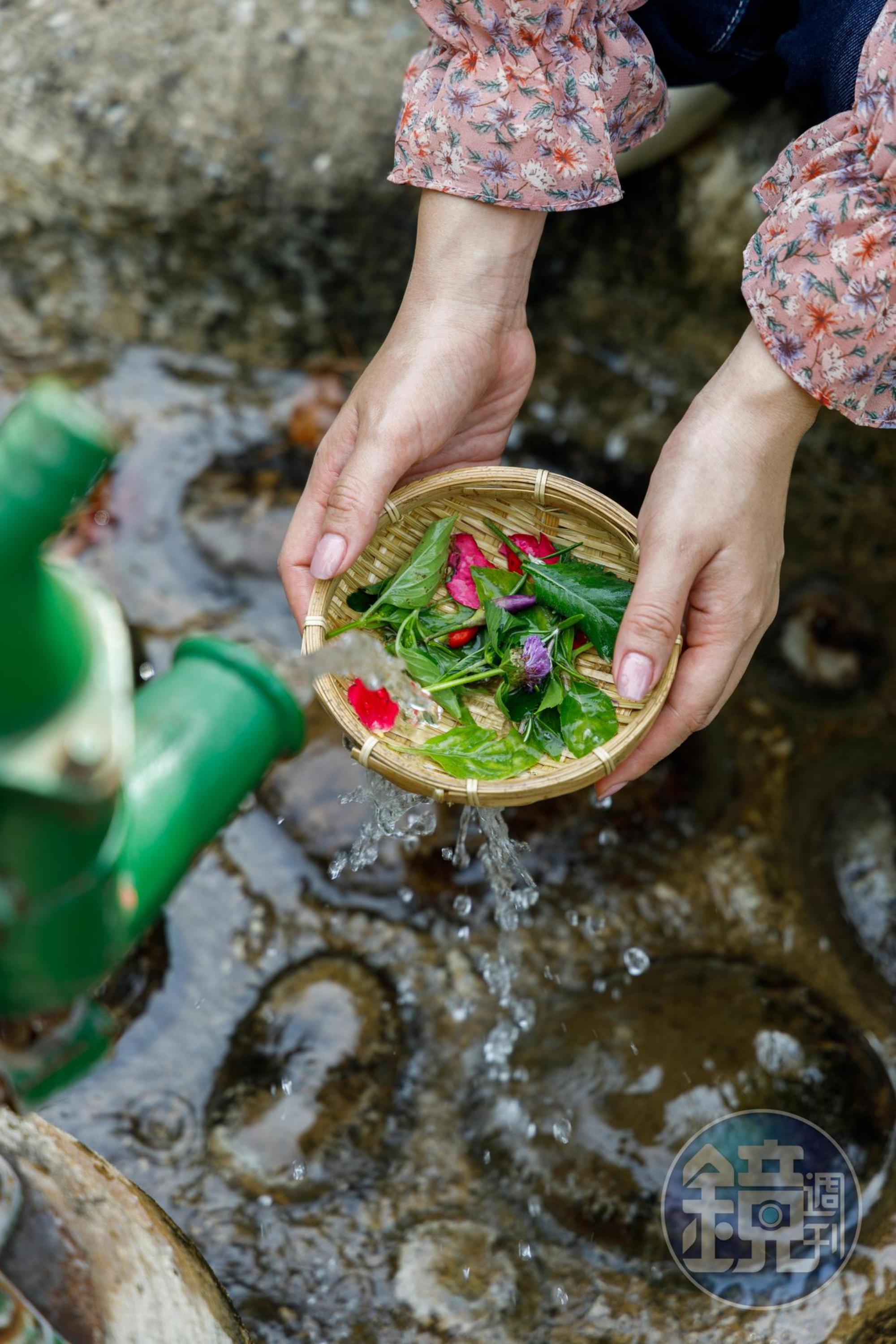 用沁涼的山泉水洗滌花草,泉水匯集成一條小溪,灌溉田園生生不息。