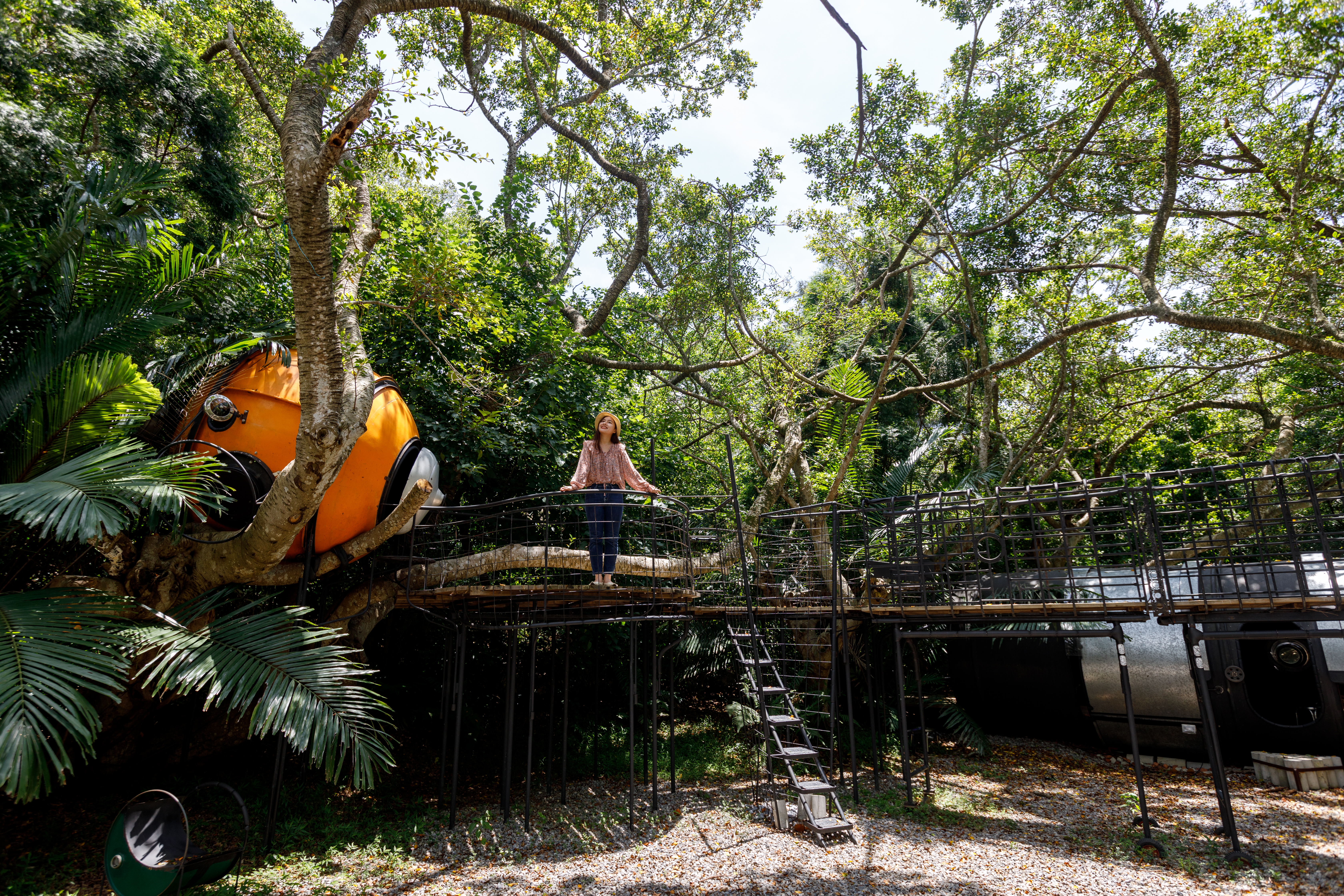 白天的「森林方舟」如遺世之境般清幽奇幻。