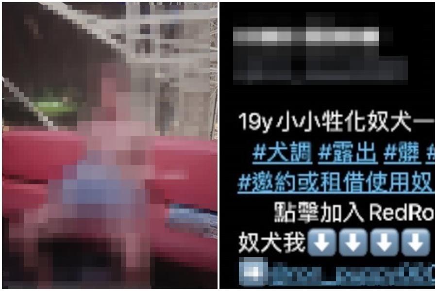 一名暱稱「榕兒」的張姓女直播主推特上發出性愛片、性虐待等不雅素材被逮。(翻攝自推特)