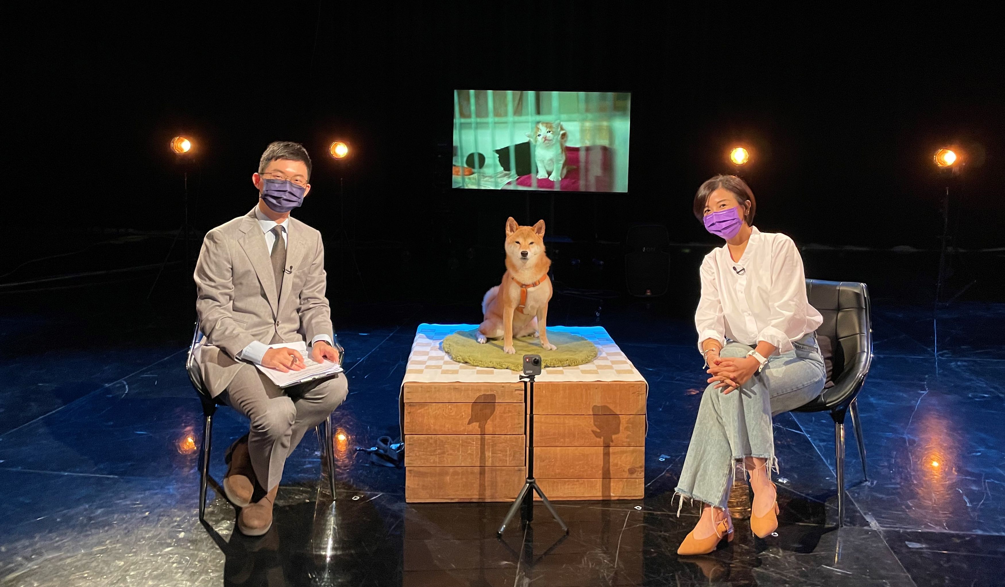 本週五《公視主題之夜SHOW》播出紀錄片《浪浪救援隊》，映後論壇邀請「眼球中央電視台」主播視網膜（左）、「浪浪別哭」的領養審核志工繽文（右）與談。（公視提供）