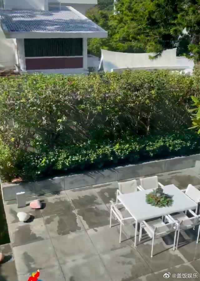 去年劉嘉玲還曝光了豪宅庭園一角,居然還養了錦鯉。(微博圖片)
