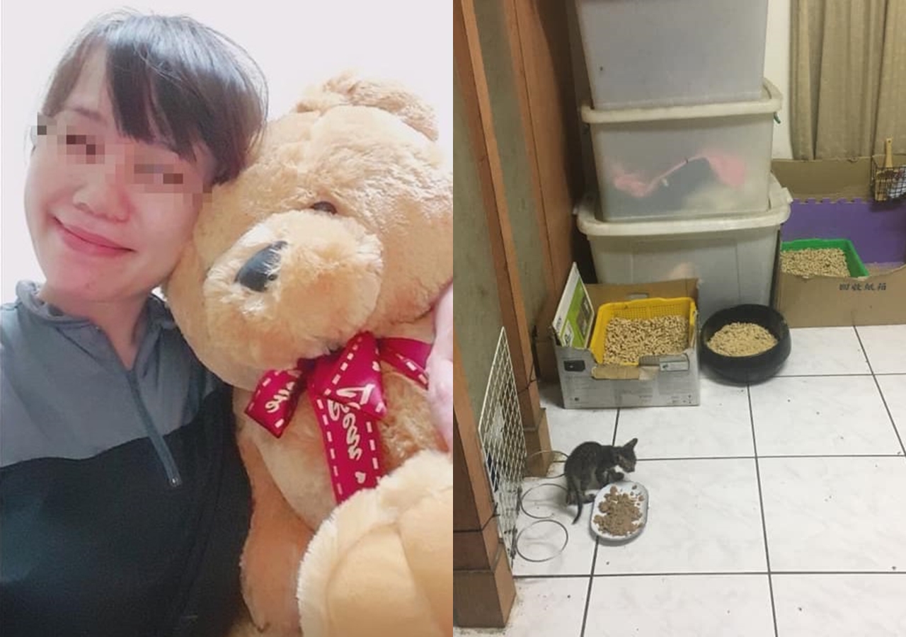 劉女遭控以中途之家之名，騙取愛貓人士的善款。（讀者提供）