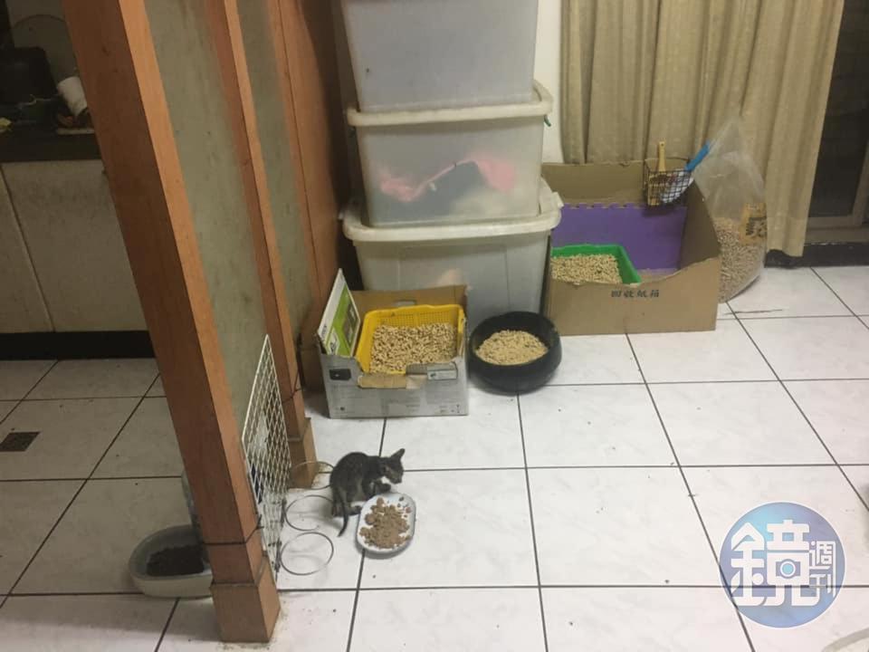 劉女在自家設立中途之家,環境相當髒亂。(讀者提供)