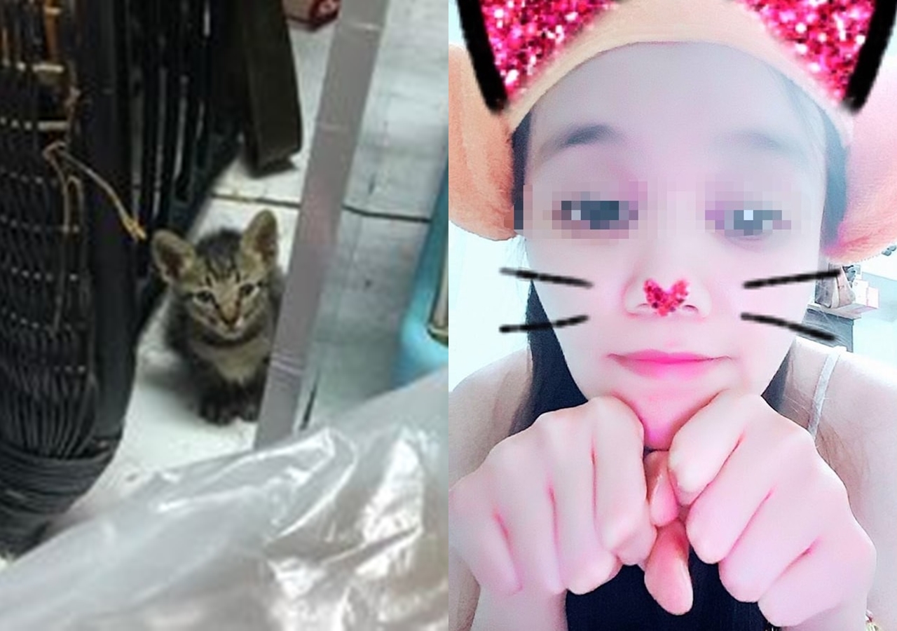 劉女（右）遭愛貓人士指控，在民宅內設立動物中途之家藉此牟利。（讀者提供）