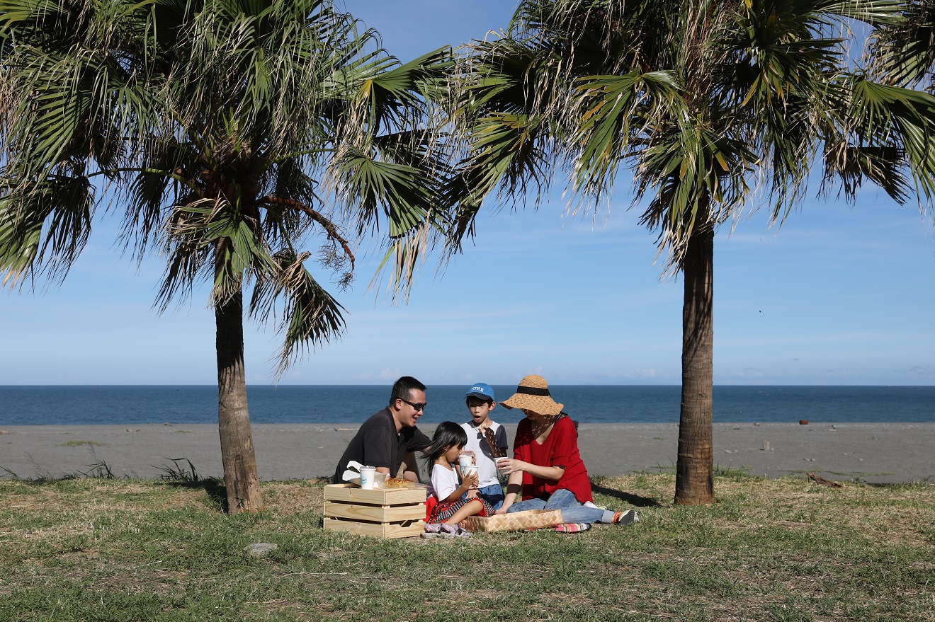 有草地、椰林和大海的大武濱海公園，是個很不錯的野餐地點。