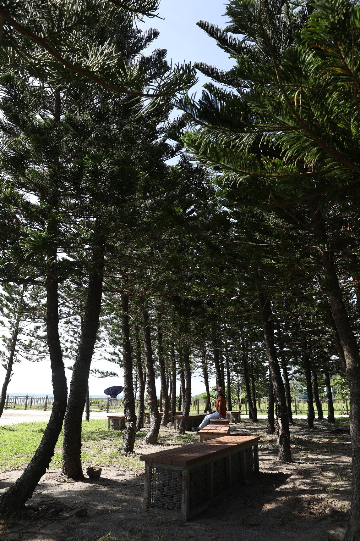 同時是露營區的南田海岸親水公園，在涼爽樹蔭下設有座椅。