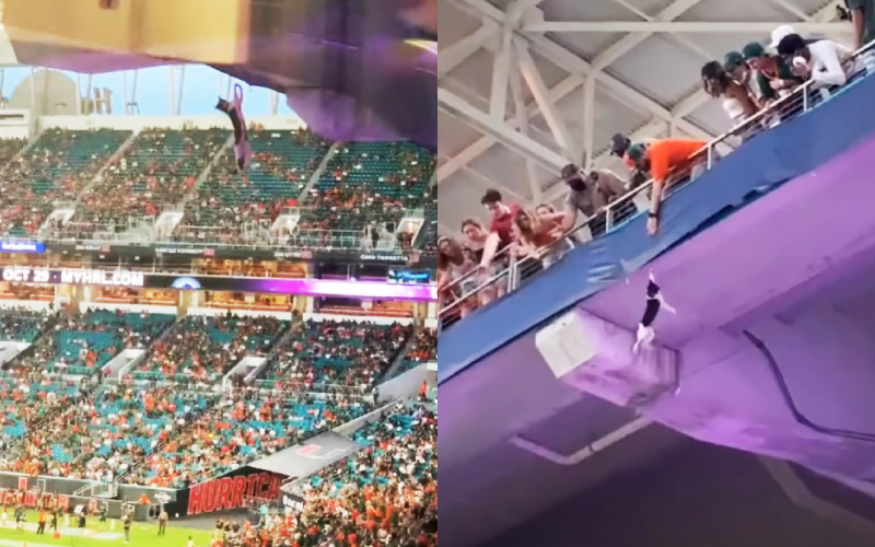 在美國邁阿密的一場美式足球比賽中，一隻貓咪意外吊掛在高層看台下，驚險場面讓群中驚呼設法搶救。（圖片翻攝推特@DannyWQAM／Youtube頻道World of Pets）