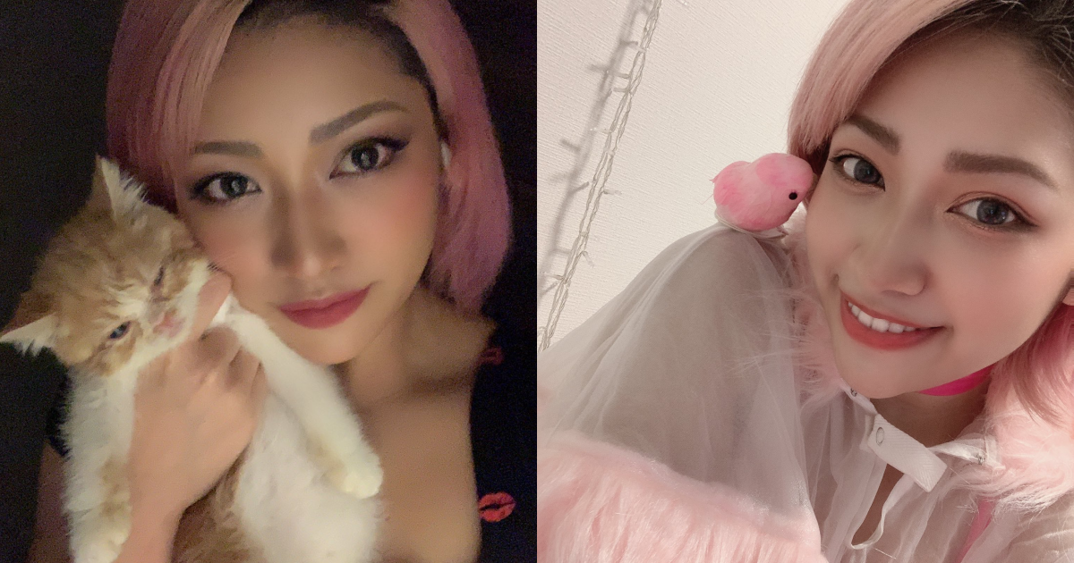 年僅22歲的木村花疑似因網路霸凌而輕生。(翻攝自木村花推特)