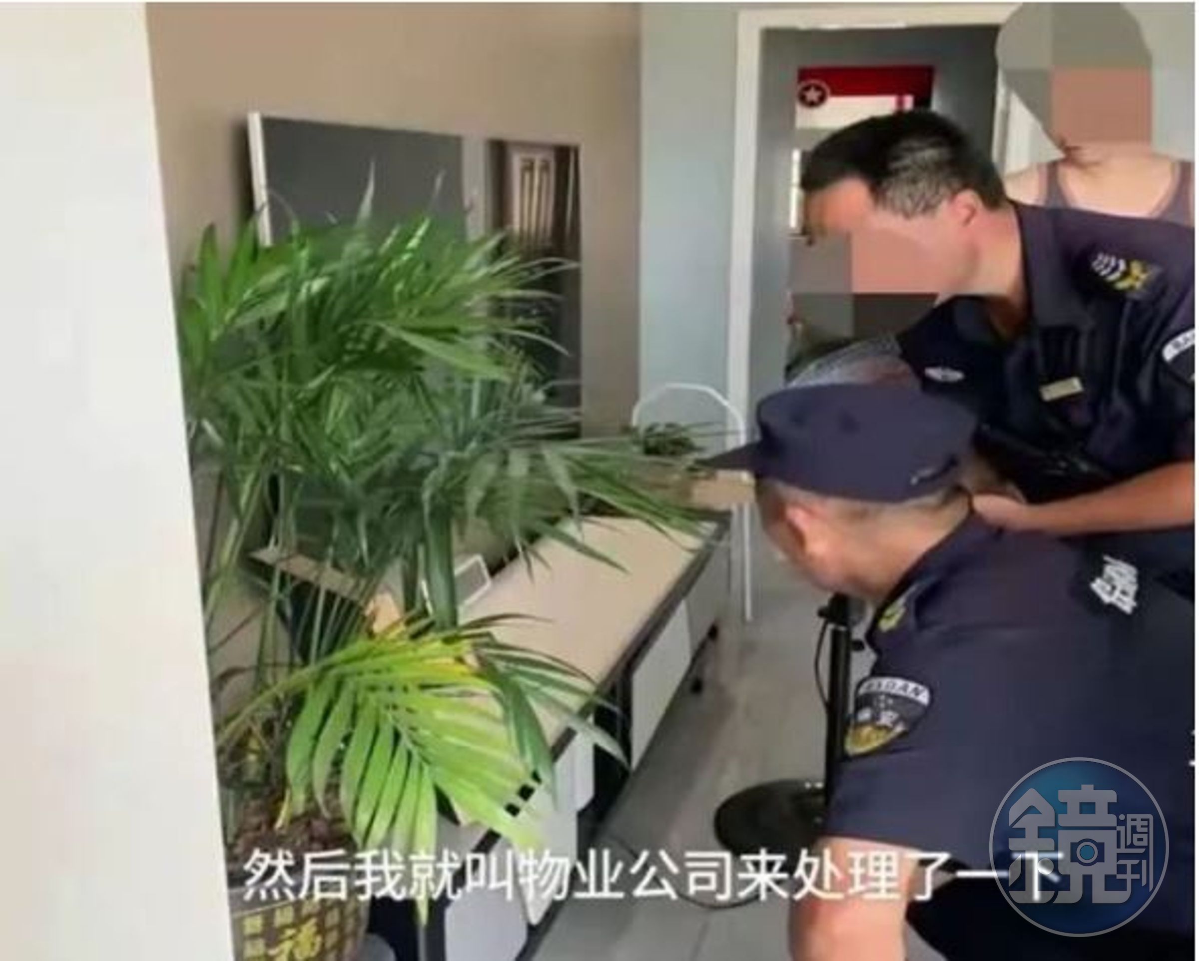 王先生研判是盆栽的問題，因此打給物流中心，請求協助。（翻攝網易新聞）