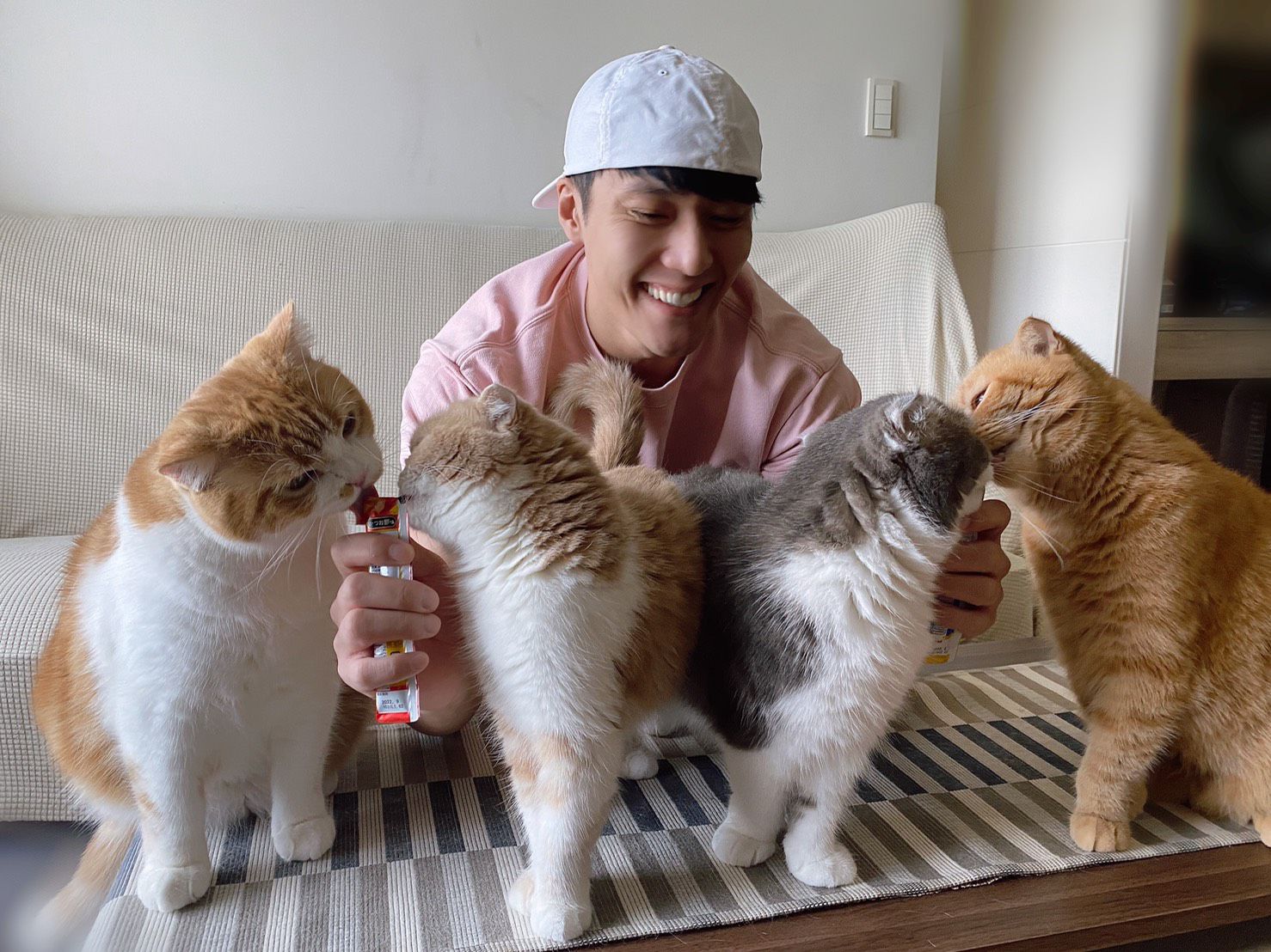 張睿家的家中有4貓，毛量讓他受不了，但愛卻沒因此少了半分，他還曾因為愛女受傷入院哭了。（張睿家提供）