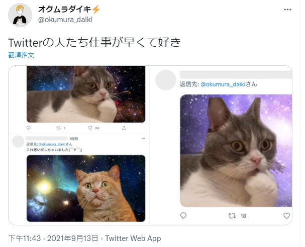 因為傻眼貓咪的表情讓網友連想到迷因梗圖,立馬有人P圖,原本截圖分享說道:最喜歡推特上的人作業神速。(圖片翻攝推特@okumura_daiki)