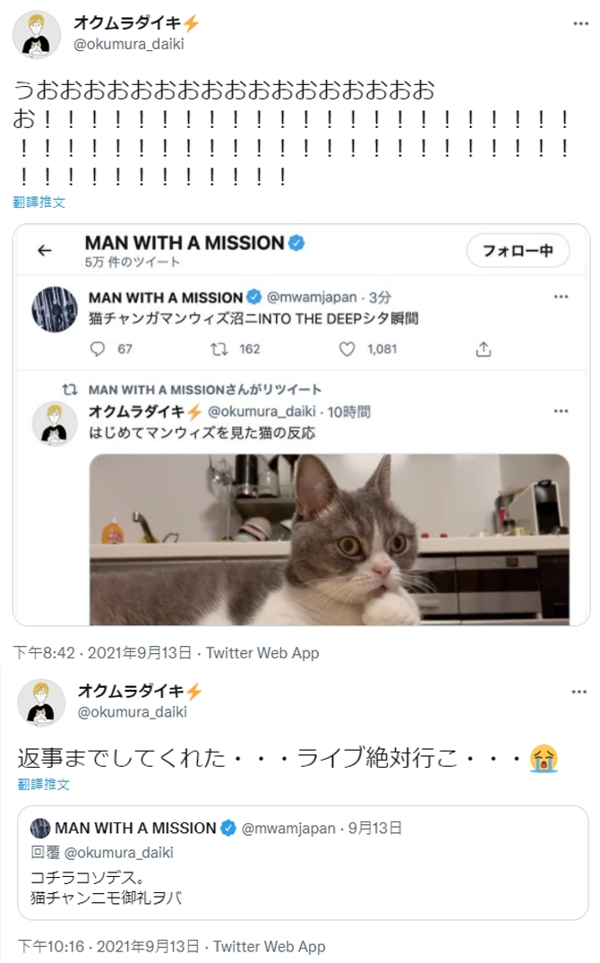 狼人樂團的主唱兼吉他手透過官方推特轉推貓咪影片,還與原PO回文互動並向貓咪問好,原本就是歌迷的原PO感動直呼一定要去看演唱會。(圖片翻攝推特@okumura_daiki)