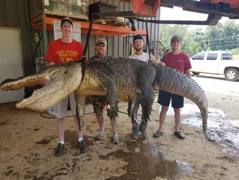 獵人約翰和加工廠工人與大鱷魚合影。(翻攝John Hamilton IG)