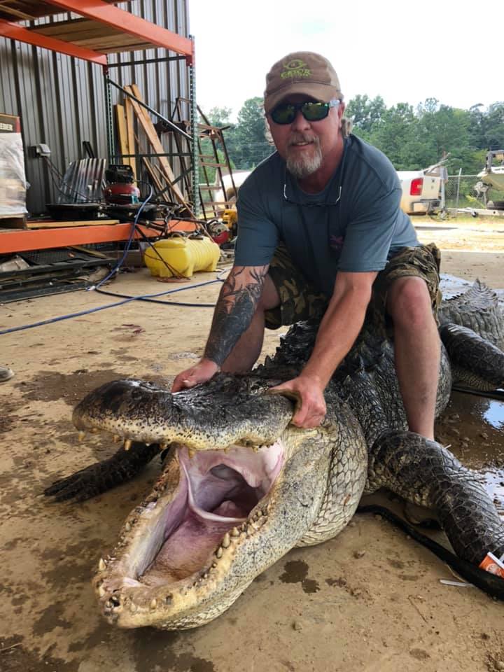 巨大的鱷魚體重超過450公斤。(翻攝John Hamilton IG)