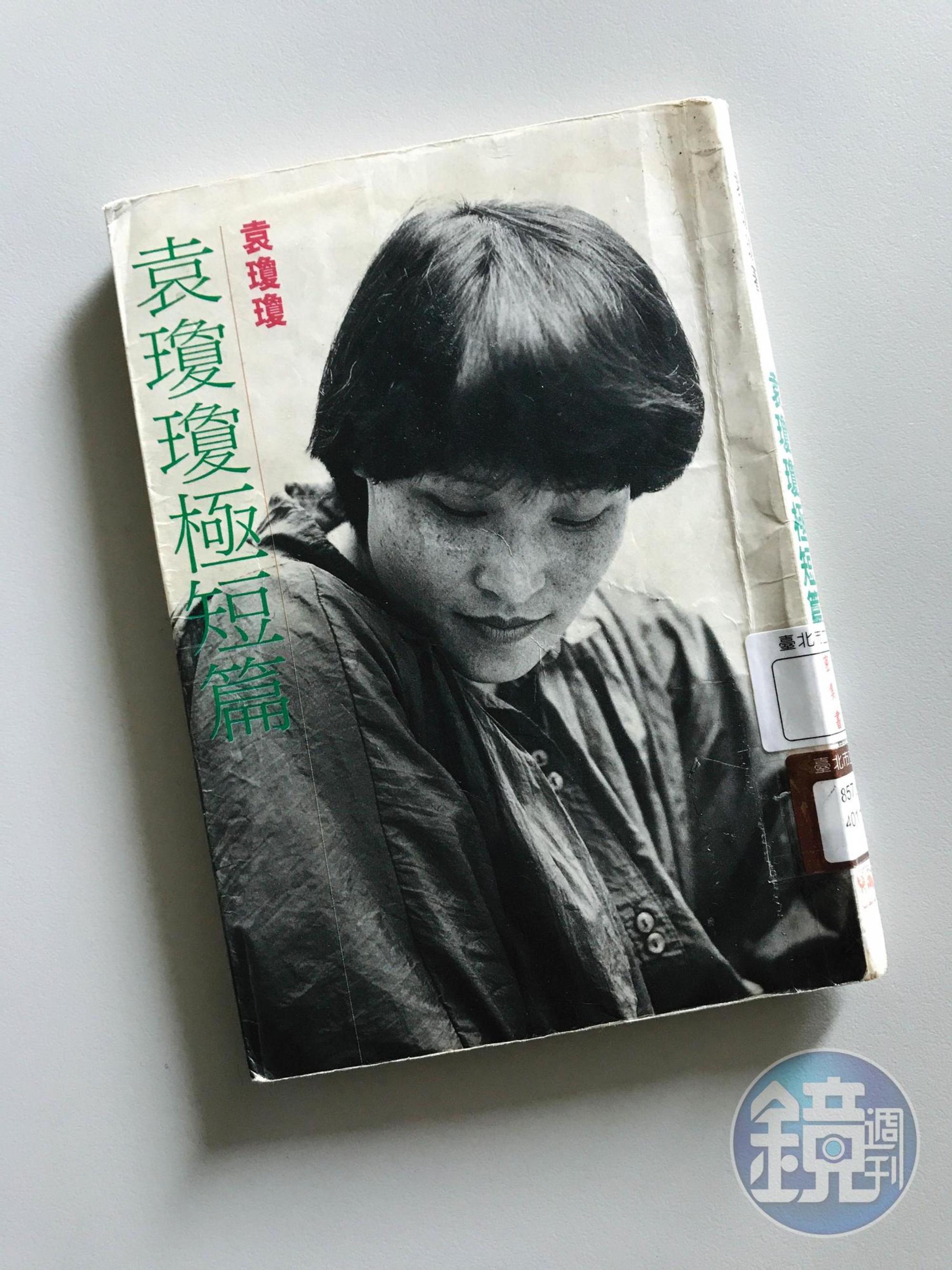 年輕時期的袁瓊瓊寫作主題多以高度女性意識書寫都會愛情。