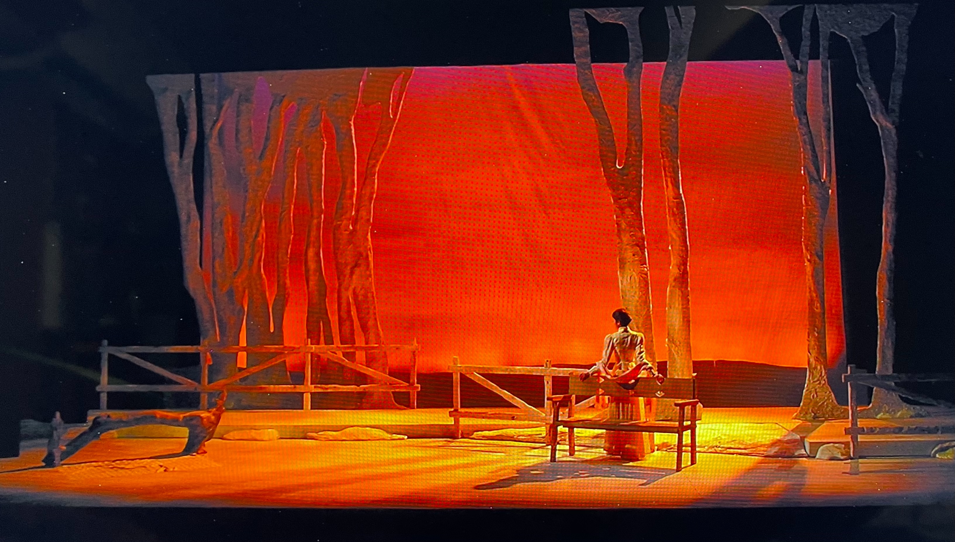 除了寫影評，黃建業也是劇場導演，曾執導契訶夫經典劇作《櫻桃園》等劇。（黃建業提供）