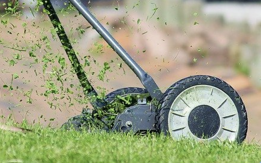 阿根廷一名男子日前在理草皮時，不小心用破一詭異罐子，沒想到，裡面竟塞了一根「男性生殖器。」（示意圖，pixabay）