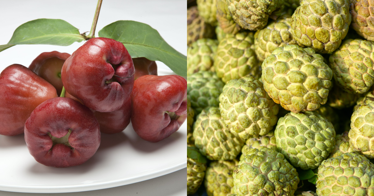 中國將自明日起禁止進口台灣的蓮霧、釋迦。（東方IC、pixabay）