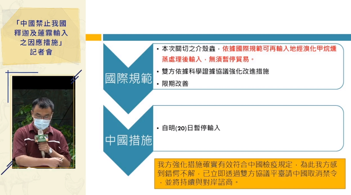 陳吉仲指出，「太平洋臀紋粉介殼蟲」並不是在果實裡面，依據國際規範可在輸入地進行燻蒸處理後輸入，無須暫停貿易。（翻攝自動植物防疫檢疫局-防疫小尖兵臉書直播）