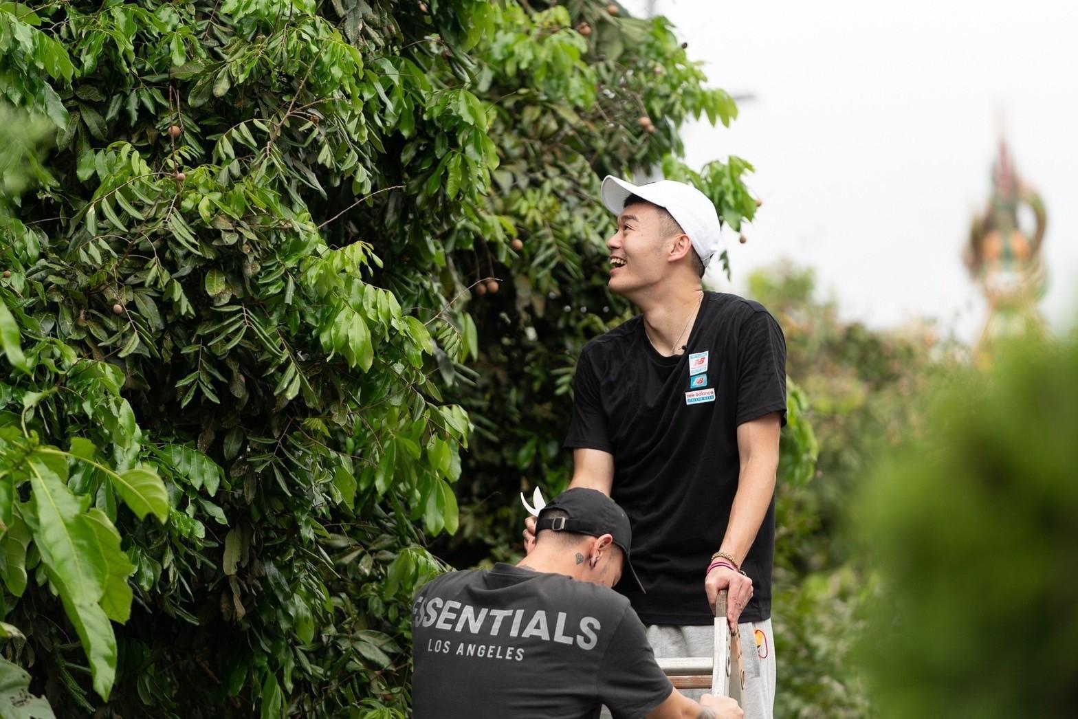 王齊麟雖然身高188，但爬高剪龍眼還是會懼高。（台視、好看娛樂提供）