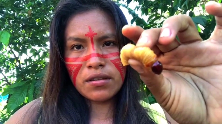 塔圖尤的吃蟲影片引起全球網友關注。（翻攝Cunhaporanga Tatuyo IG）