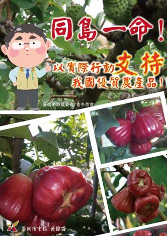 台南市政府決定總共購買1,000箱,支持高雄和屏東的蓮霧及台東的釋迦。(台南市政府提供)