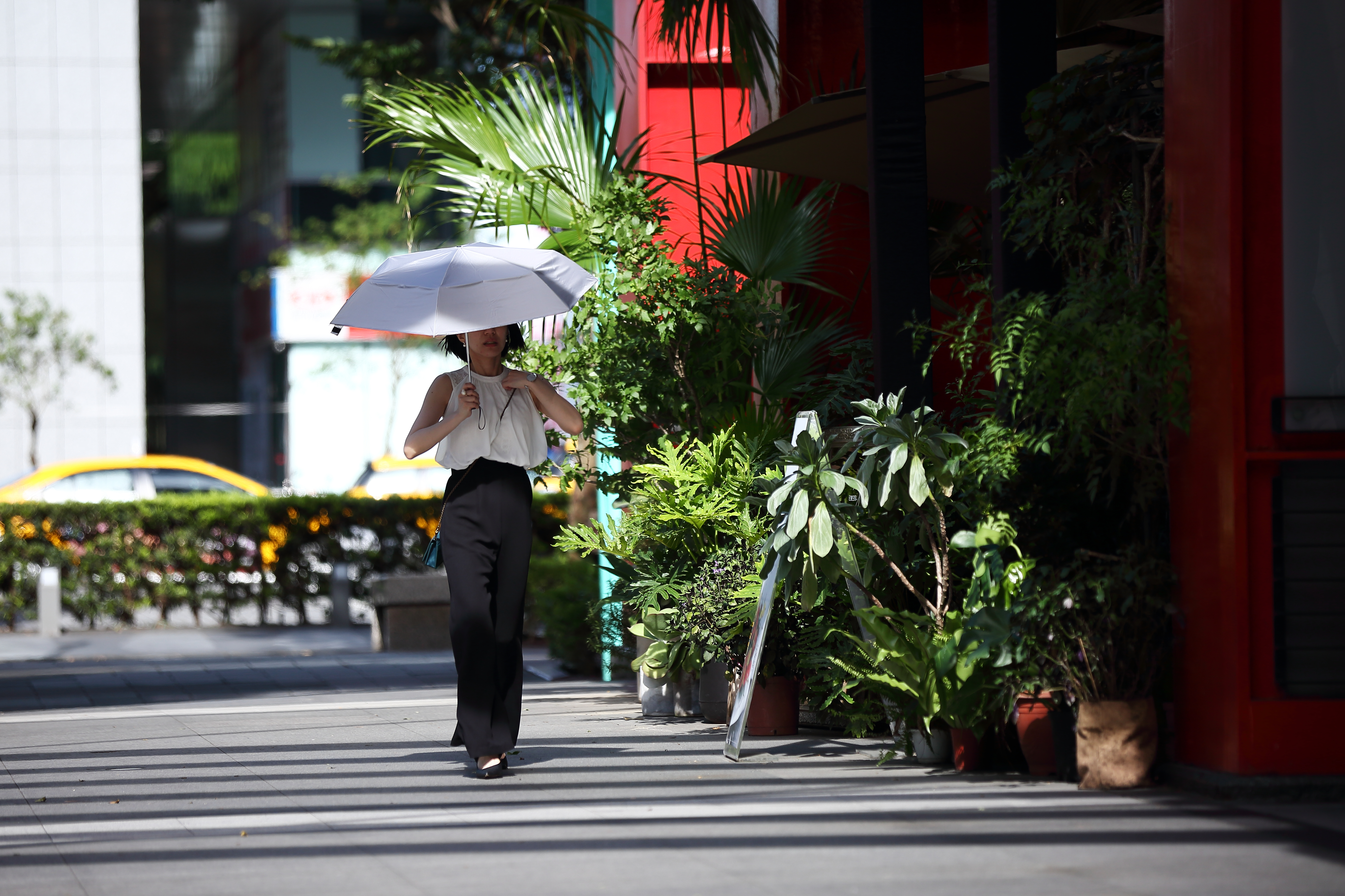 本週天氣為晴到多雲要慎防熱傷害、中暑，同時也要注意午後雷陣雨。（本刊資料照）