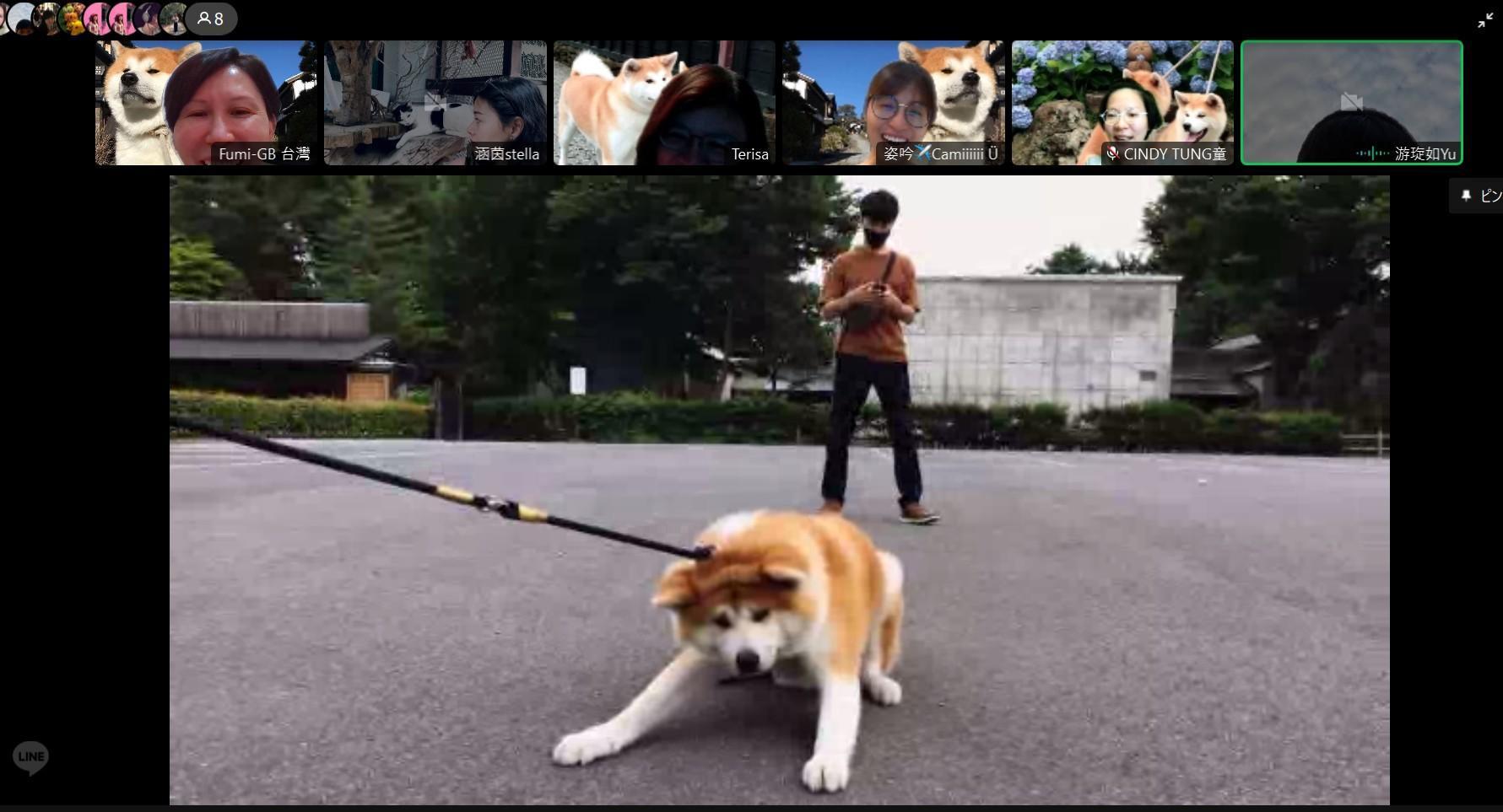 「忠犬小八」也是有鬧脾氣不給主人面子的時候。