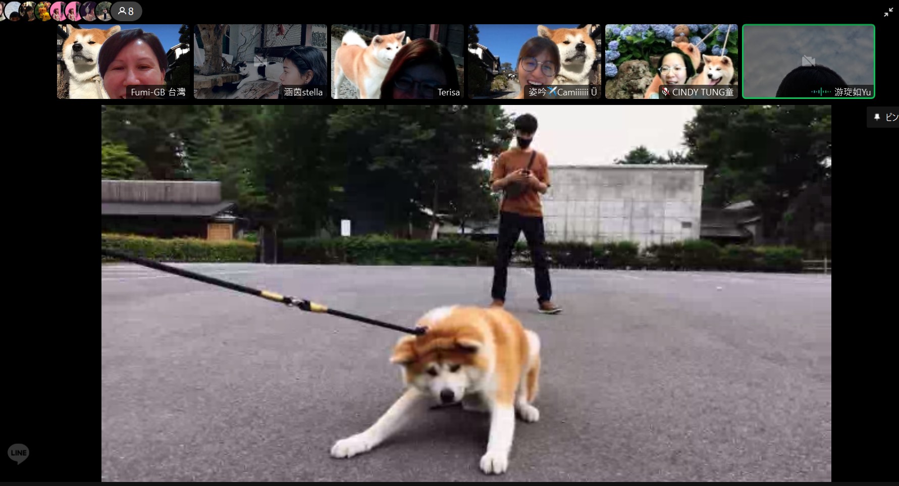「忠犬小八」也是有鬧脾氣不給主人面子的時候。