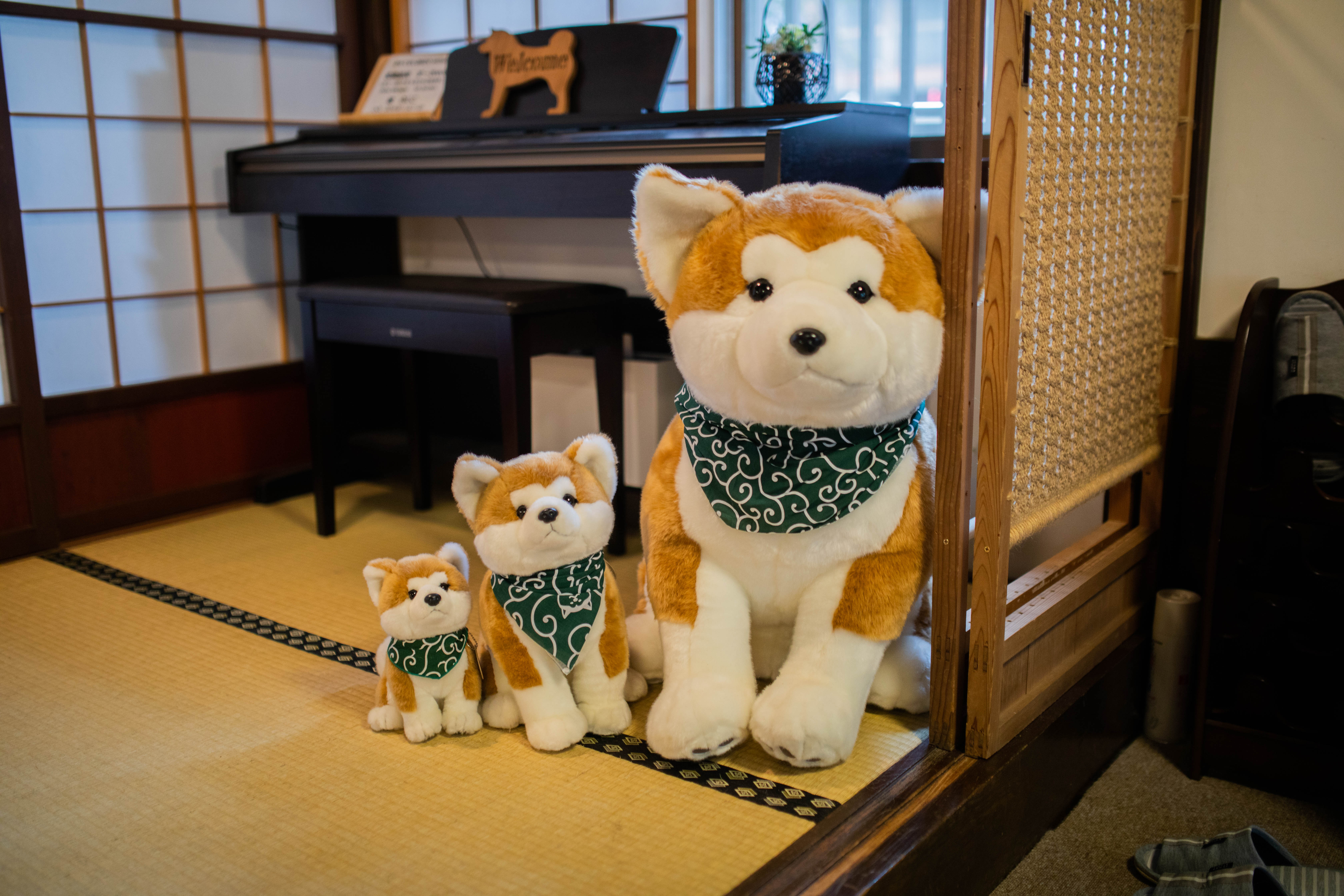 民宿裡的Q版秋田犬娃娃。（日本觀光局JNTO提供）
