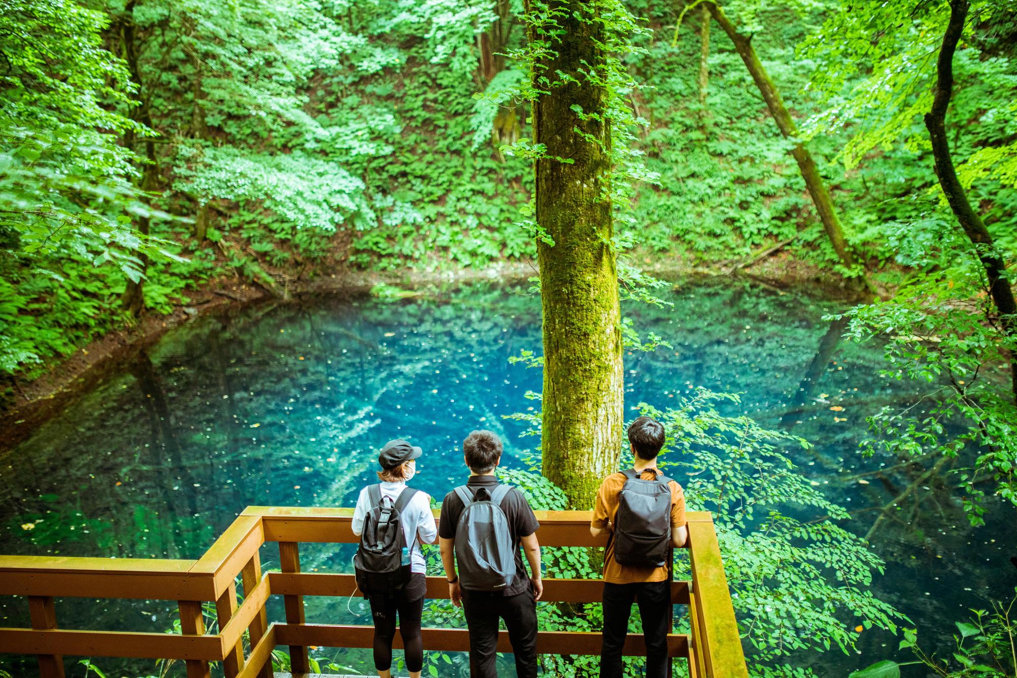 被樹木擁抱的池水,看得見水下的枯枝,清澈幾乎可見底。(日本觀光局JNTO提供)