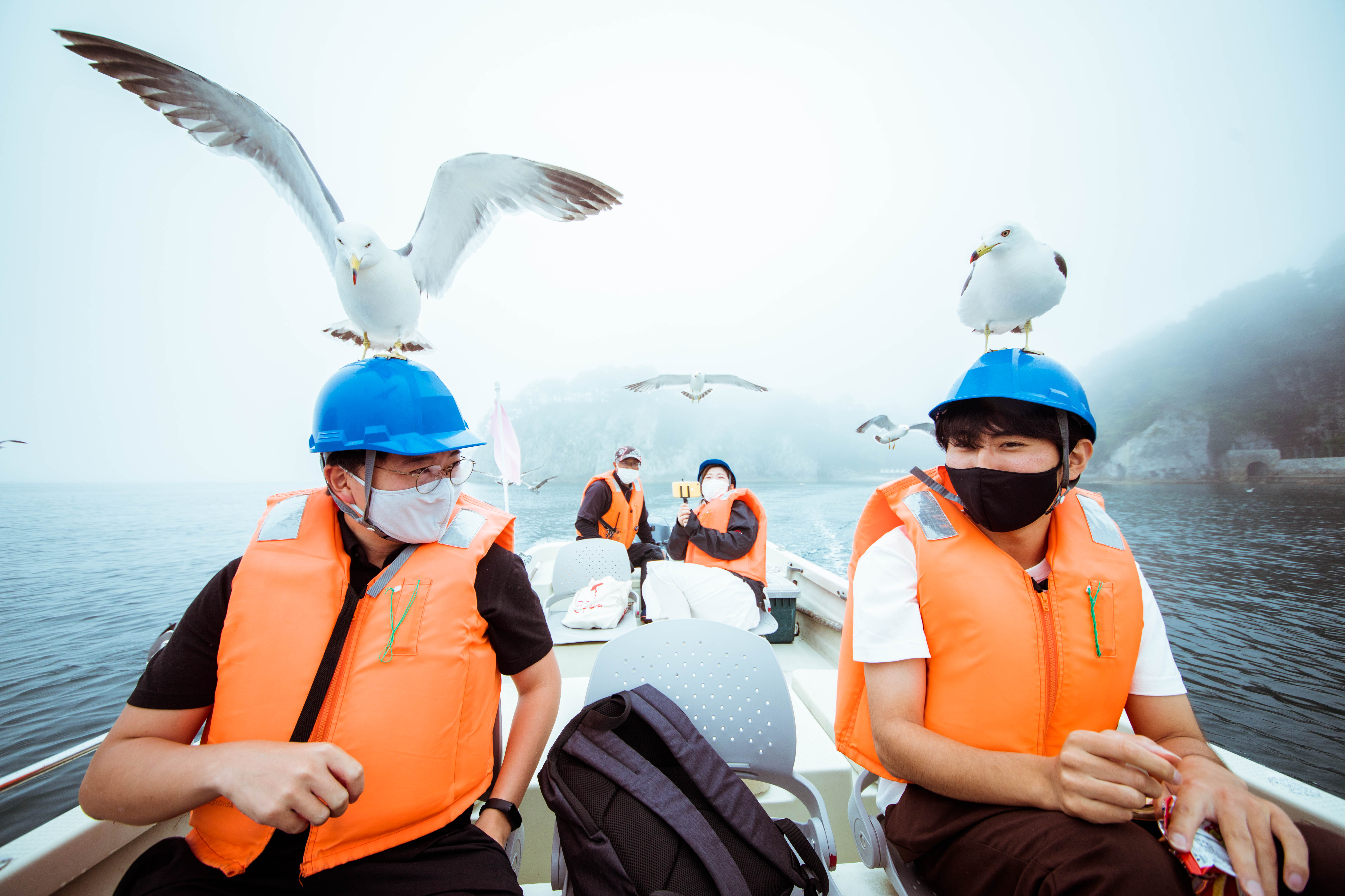 黑尾鷗停在遊客頭上，成了「淨土之濱」的經典名場面。（日本觀光局JNTO提供）
