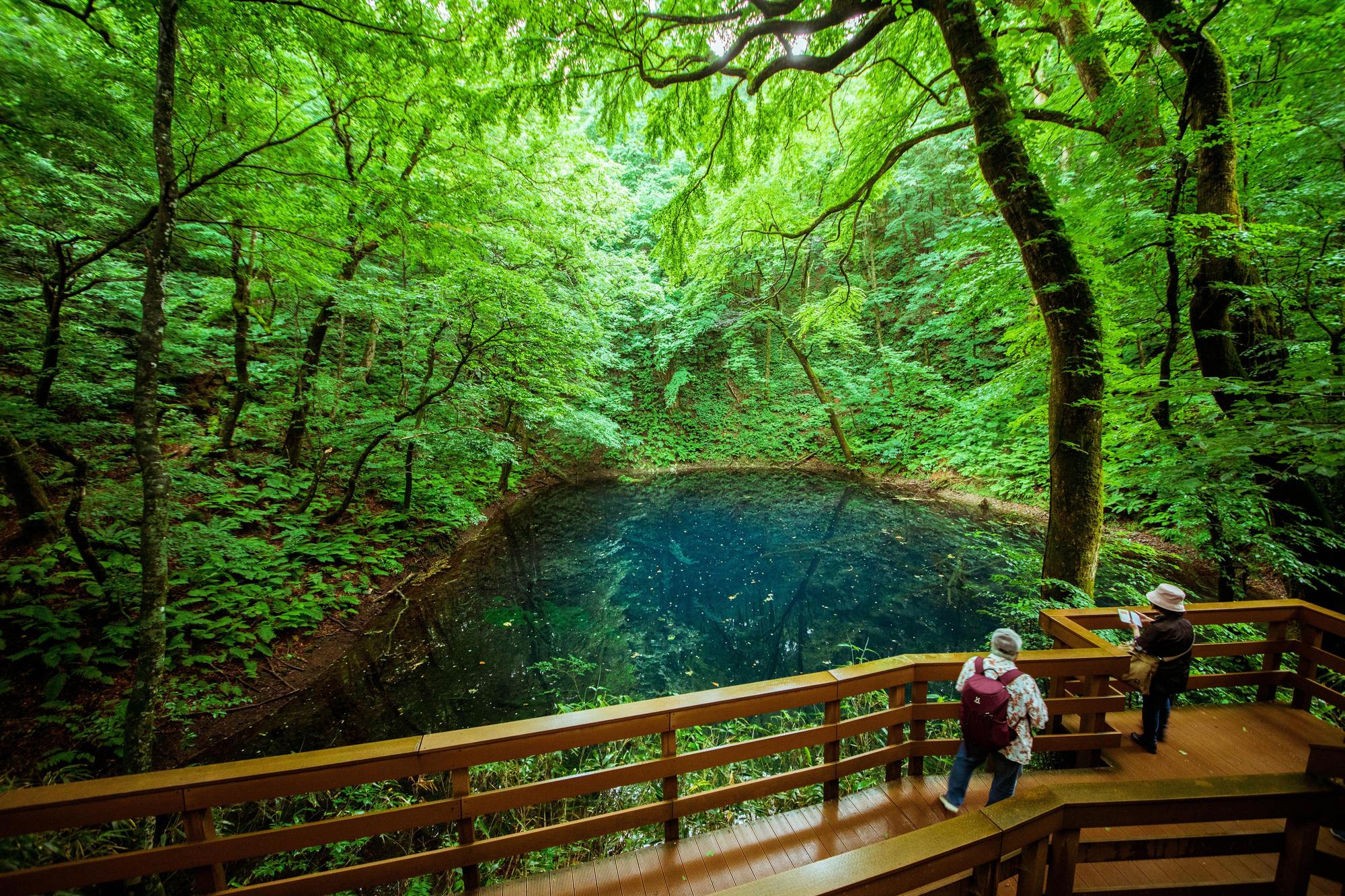 站在青池旁邊,幽靜氣氛很療癒。(日本觀光局JNTO提供)