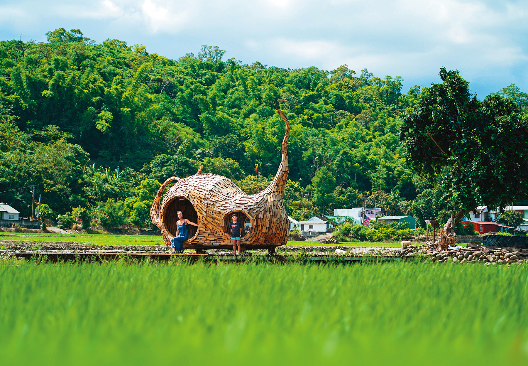 《貓咪種子》隱藏在台東鹿野二層坪斷橋一帶的阡陌田野間，與周圍肥沃飽滿的稻田相映成趣。