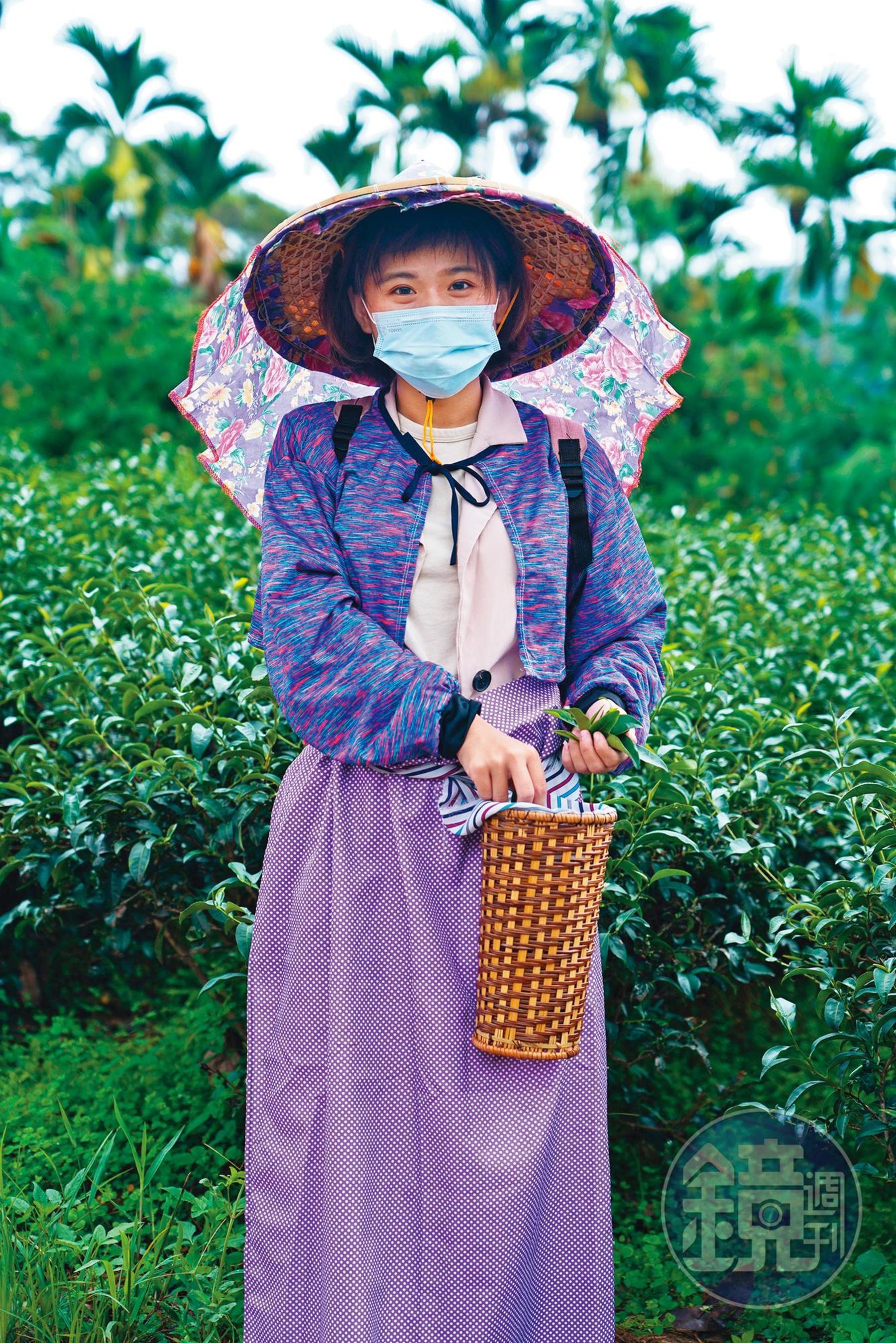 進入茶園體驗採茶前,不論男女,皆可換上專業採茶服裝。