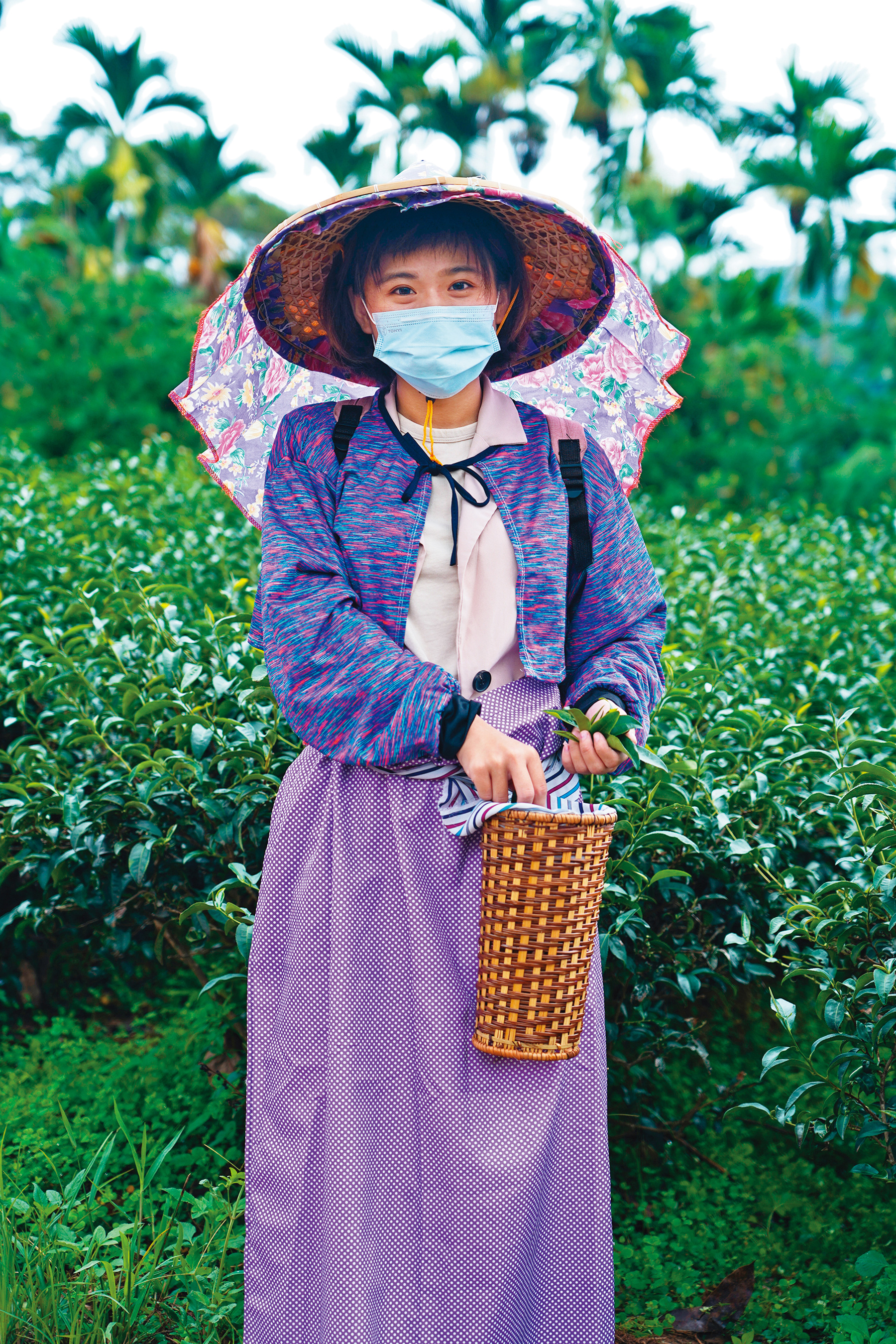 進入茶園體驗採茶前，不論男女，皆可換上專業採茶服裝。