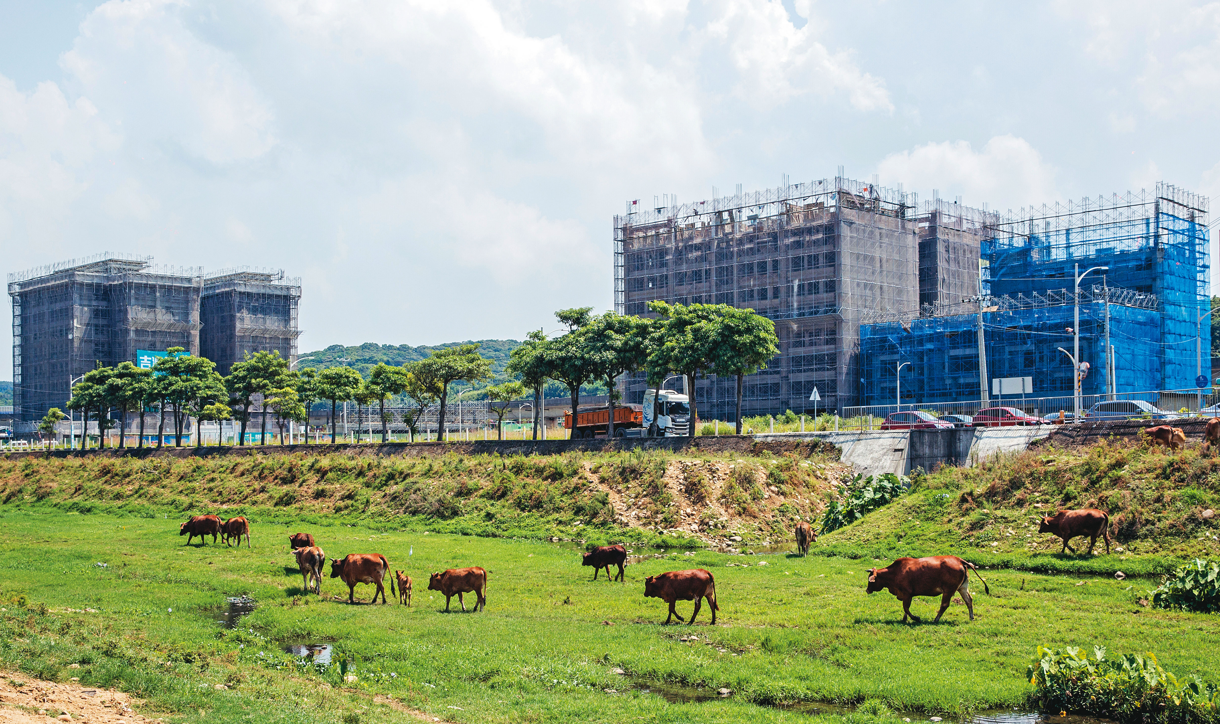 機捷A10山鼻站重劃區仍是田園風貌，但包括大華、新潤等上市建商皆看好後勢，積極插旗布局。