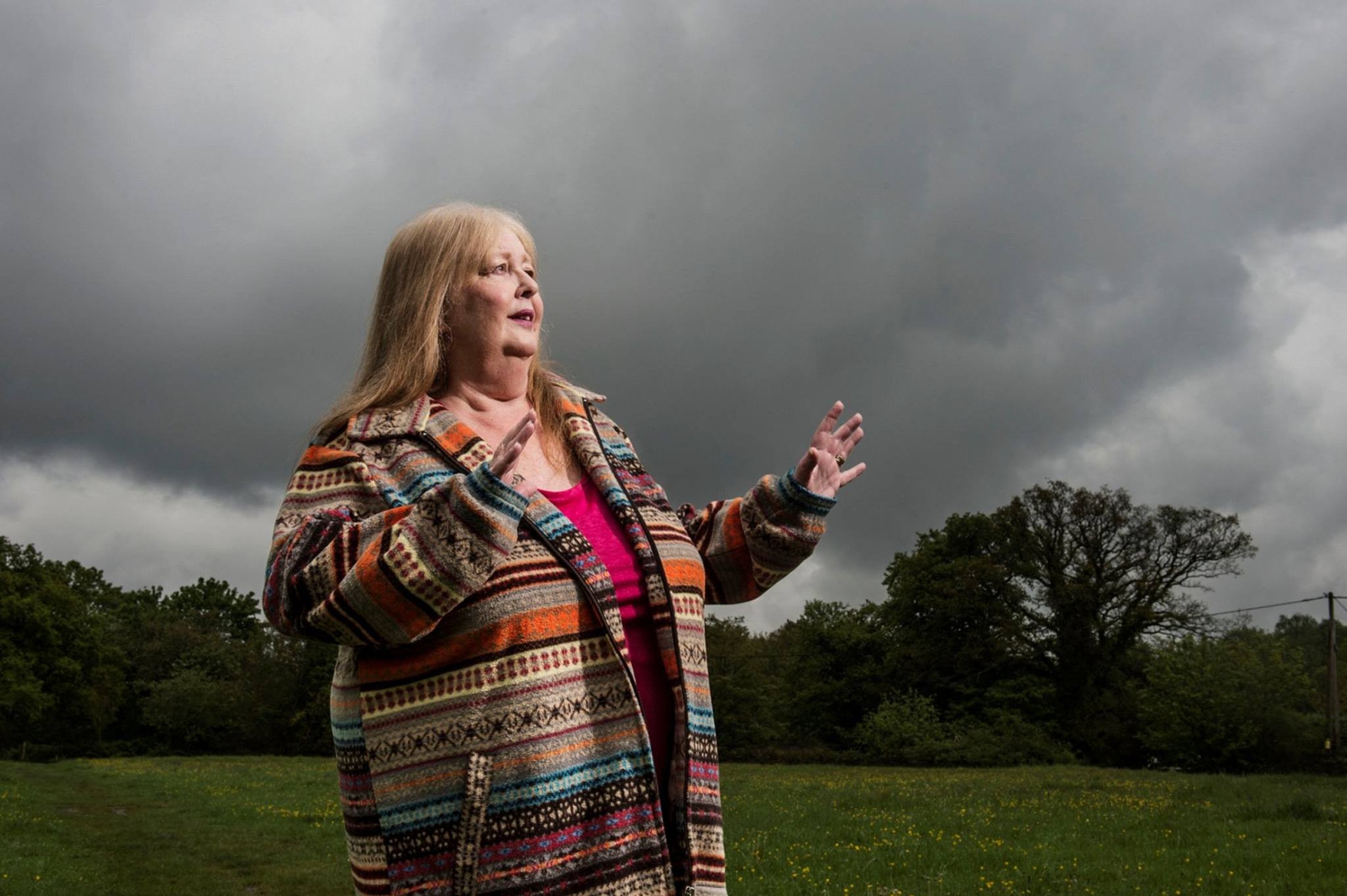 美國前國防部員工希拉蕊自爆遭外星人多次綁架，引起全球世人的議論。（翻攝Swansea UFO Network臉書）