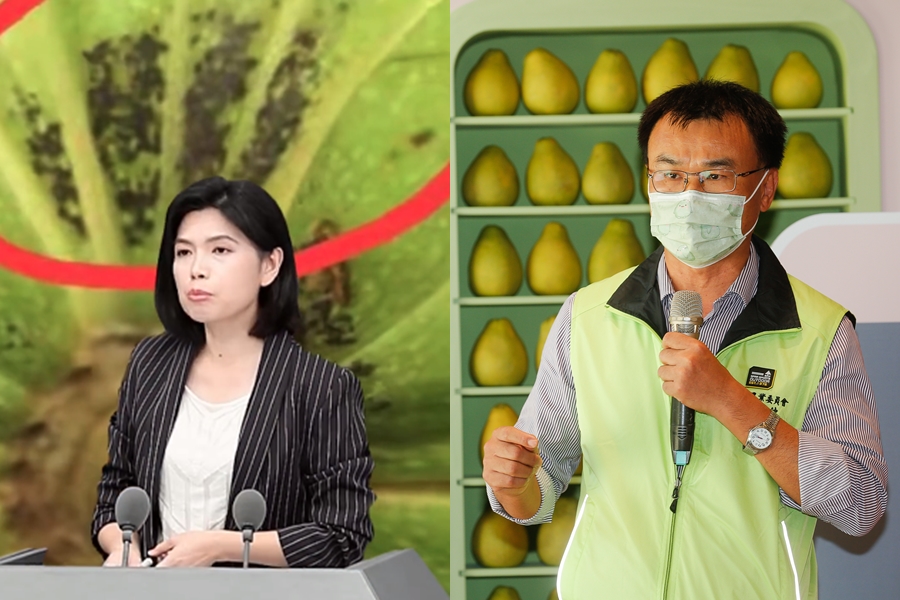 針對國台辦亮出於我國水果上驗出的害蟲照片（左圖），陳吉仲（右圖）呼籲對岸提出科學證據，不要再透過記者會隔空喊話。（翻攝自國台辦微博、本刊資料照）